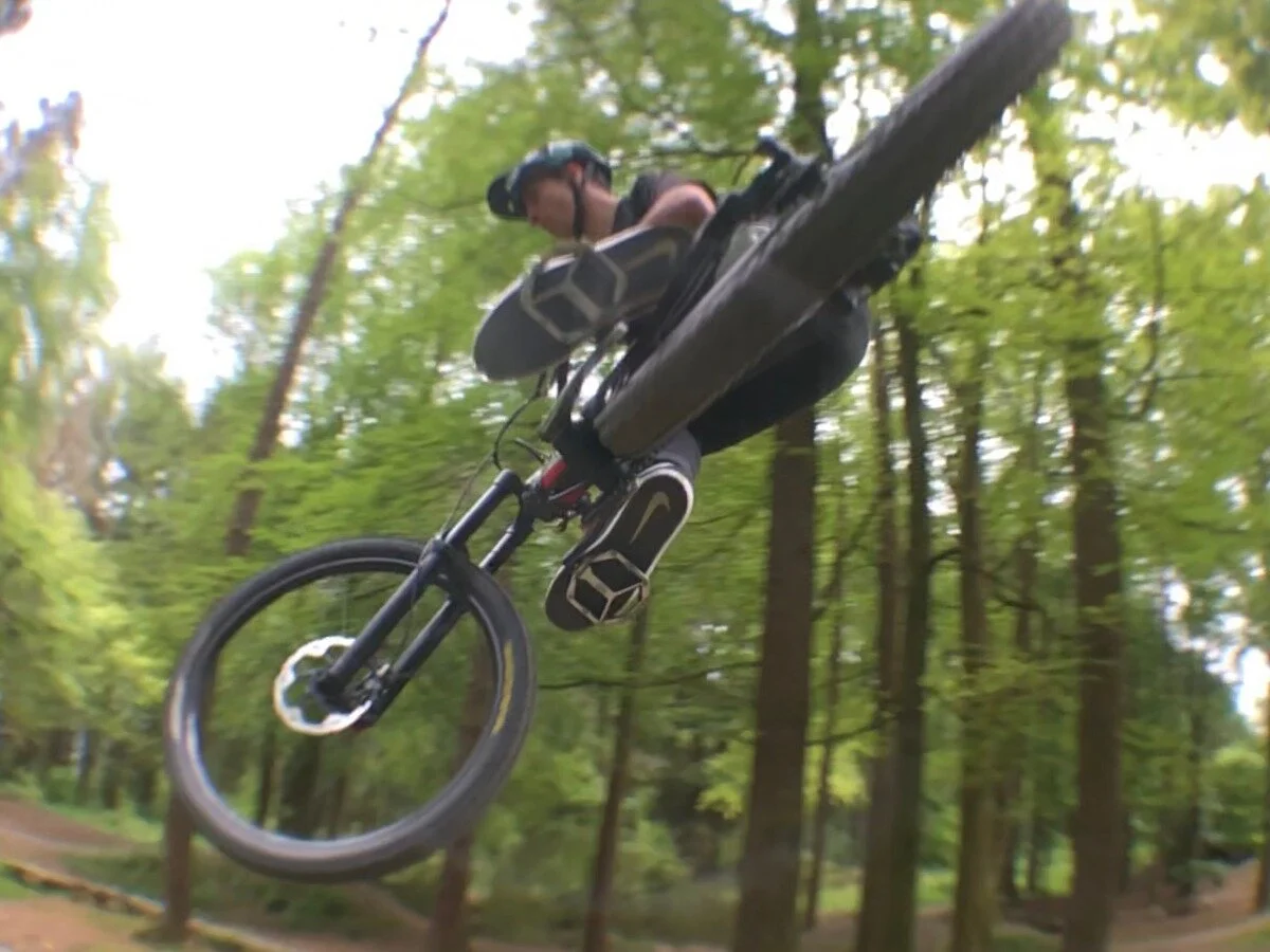 Finn Web 1200 x 900.jpeg