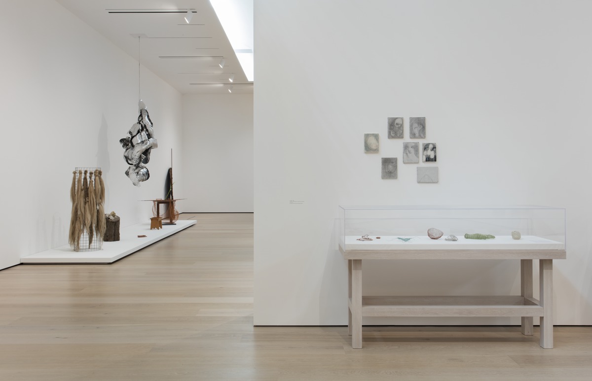 Merz Install 43-03 - Large (1200 px).jpeg