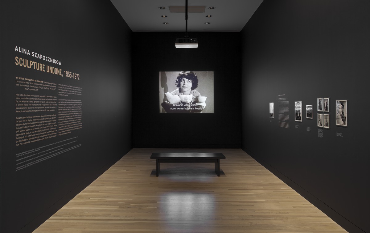 Szapocznikow 004-03 - Large (1200 px).jpeg