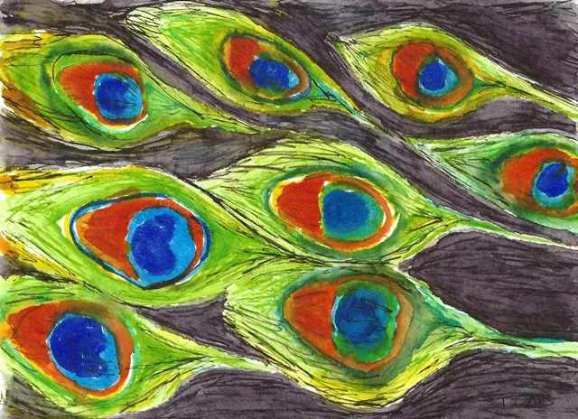 peacock feathers.jpg