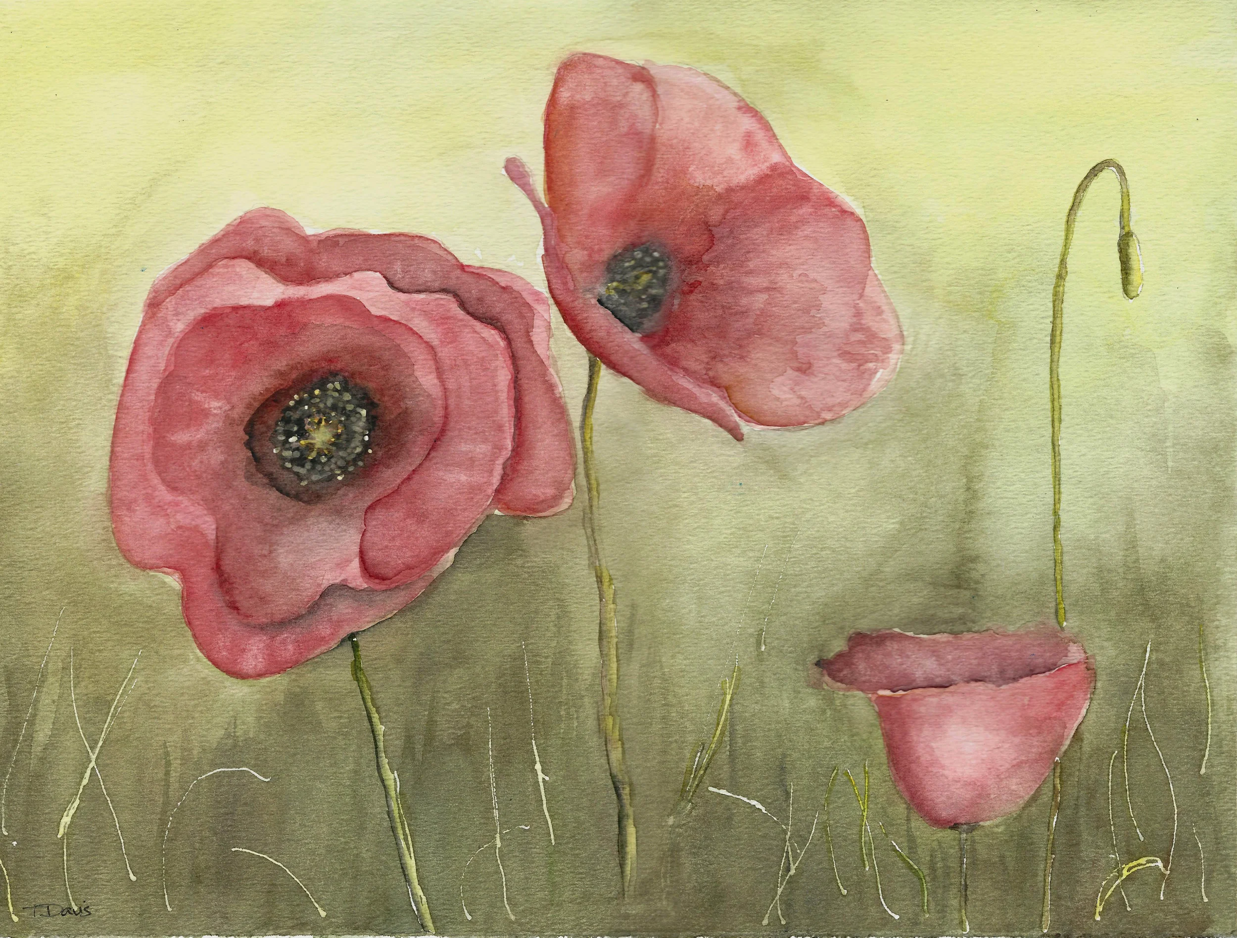 poppies 2 copy.jpg