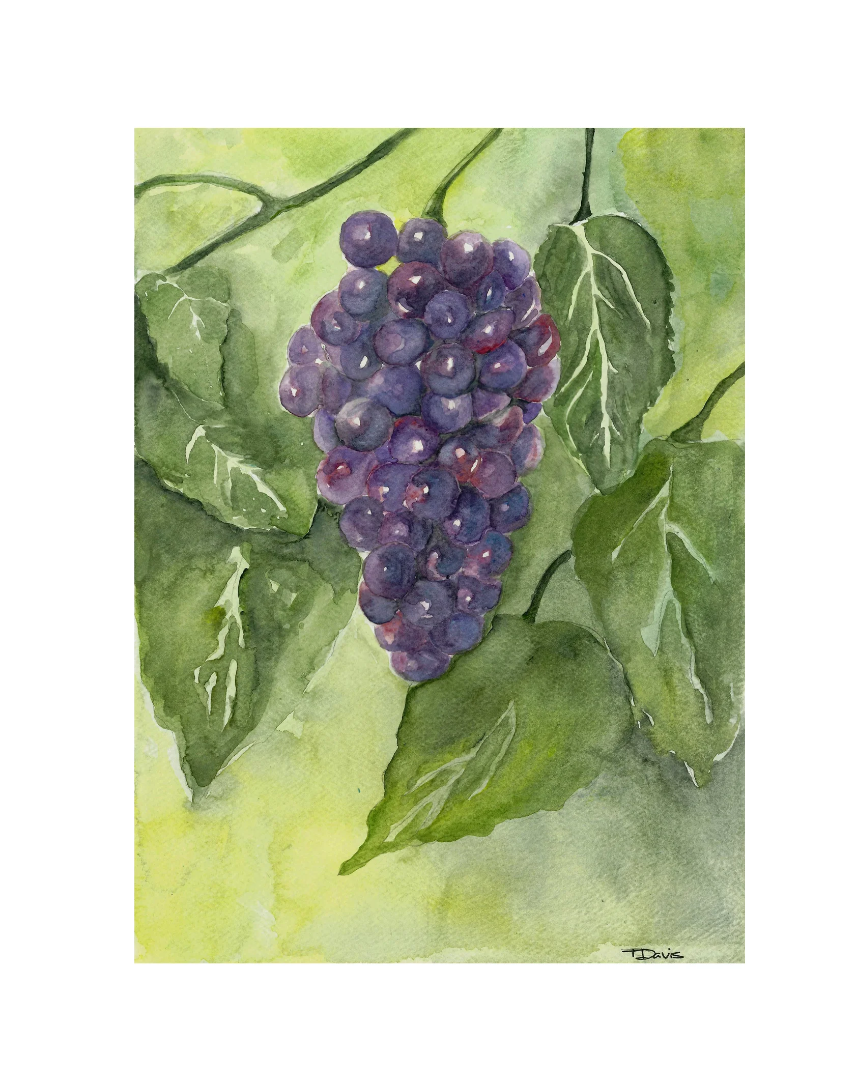 purple grapes.jpg