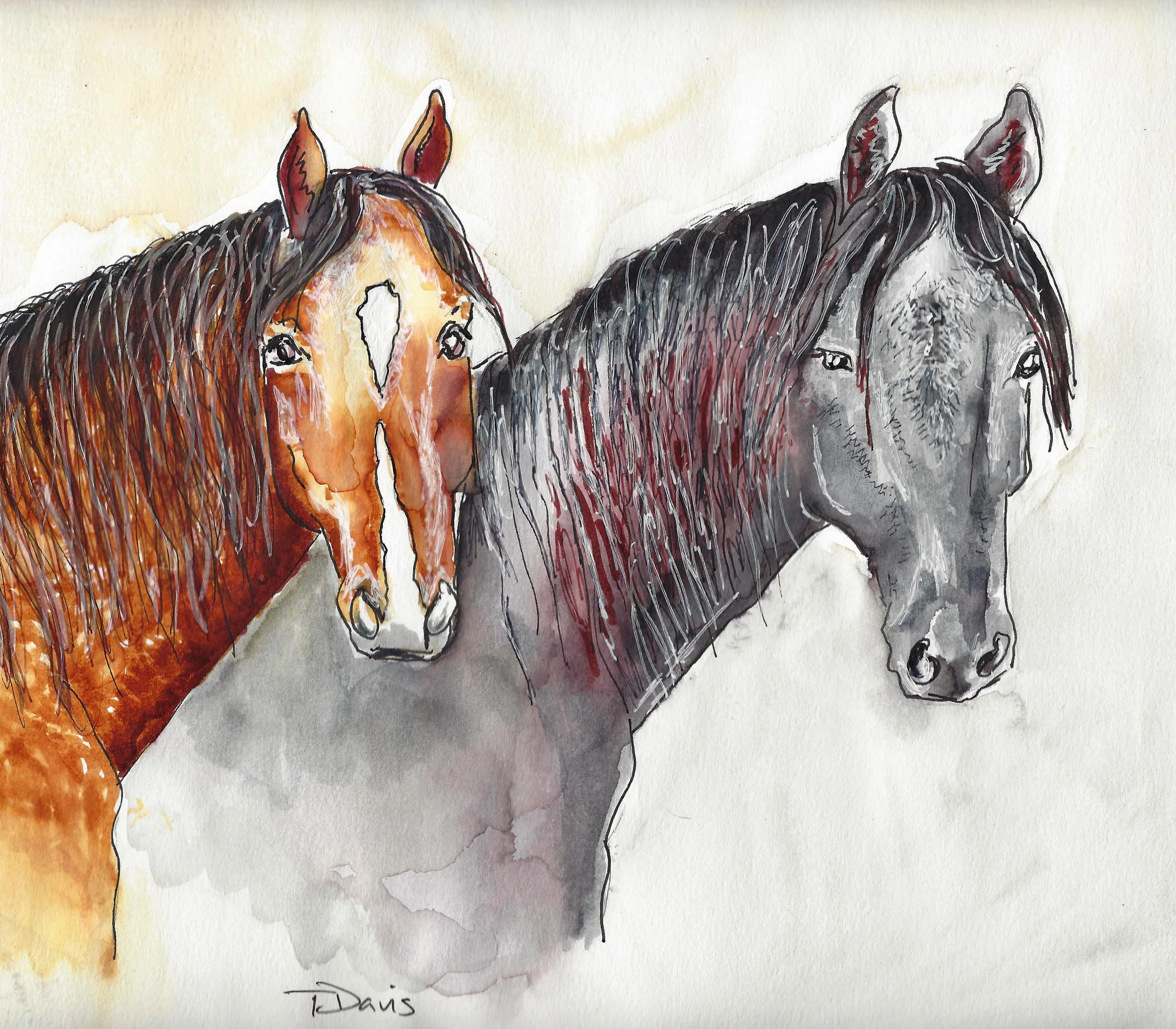 2 horses
