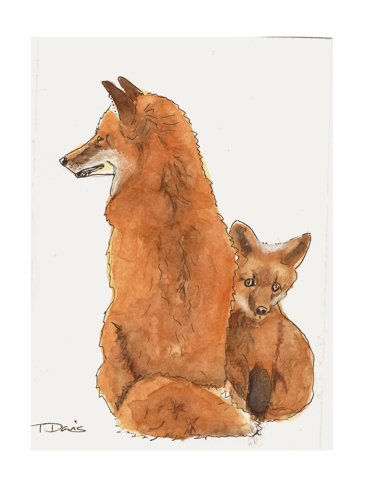 mom and baby fox0001.jpg