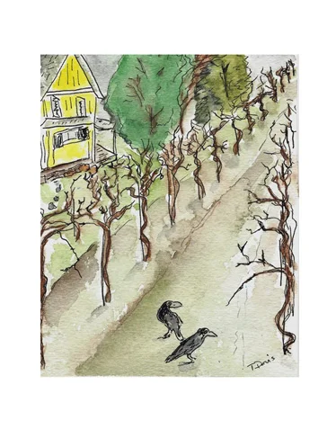 winter in the vinyard.jpg