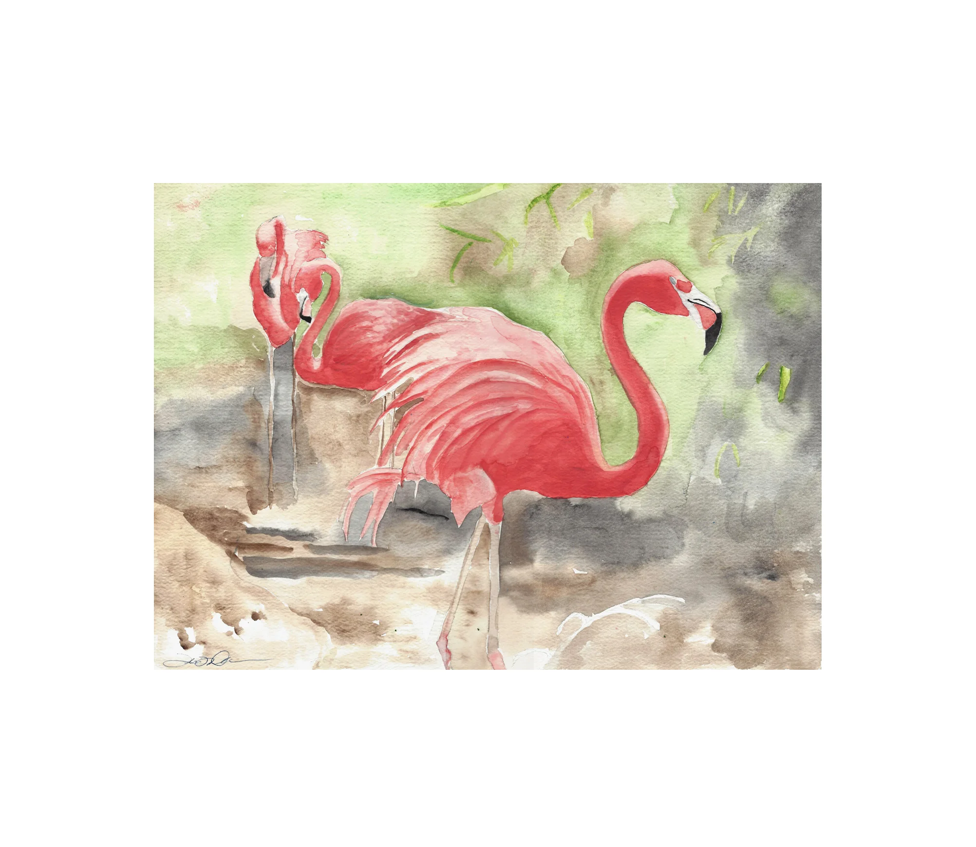sac zoo flamingos.jpg