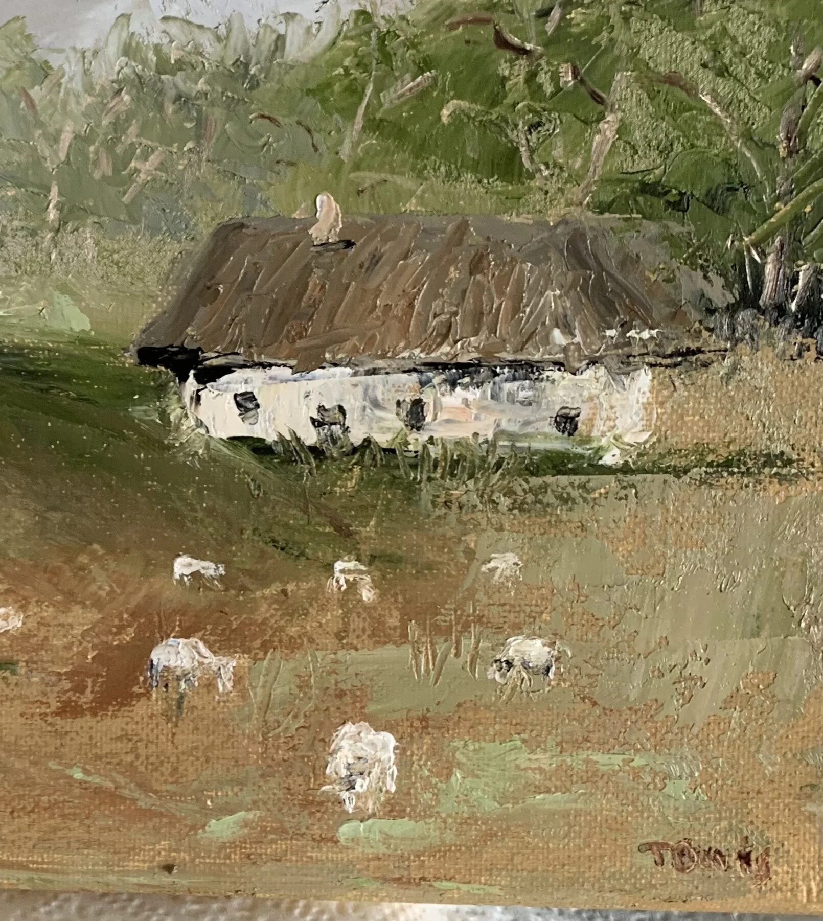 C5B5A267-FA2F-4CCD-95B1-027D94033929