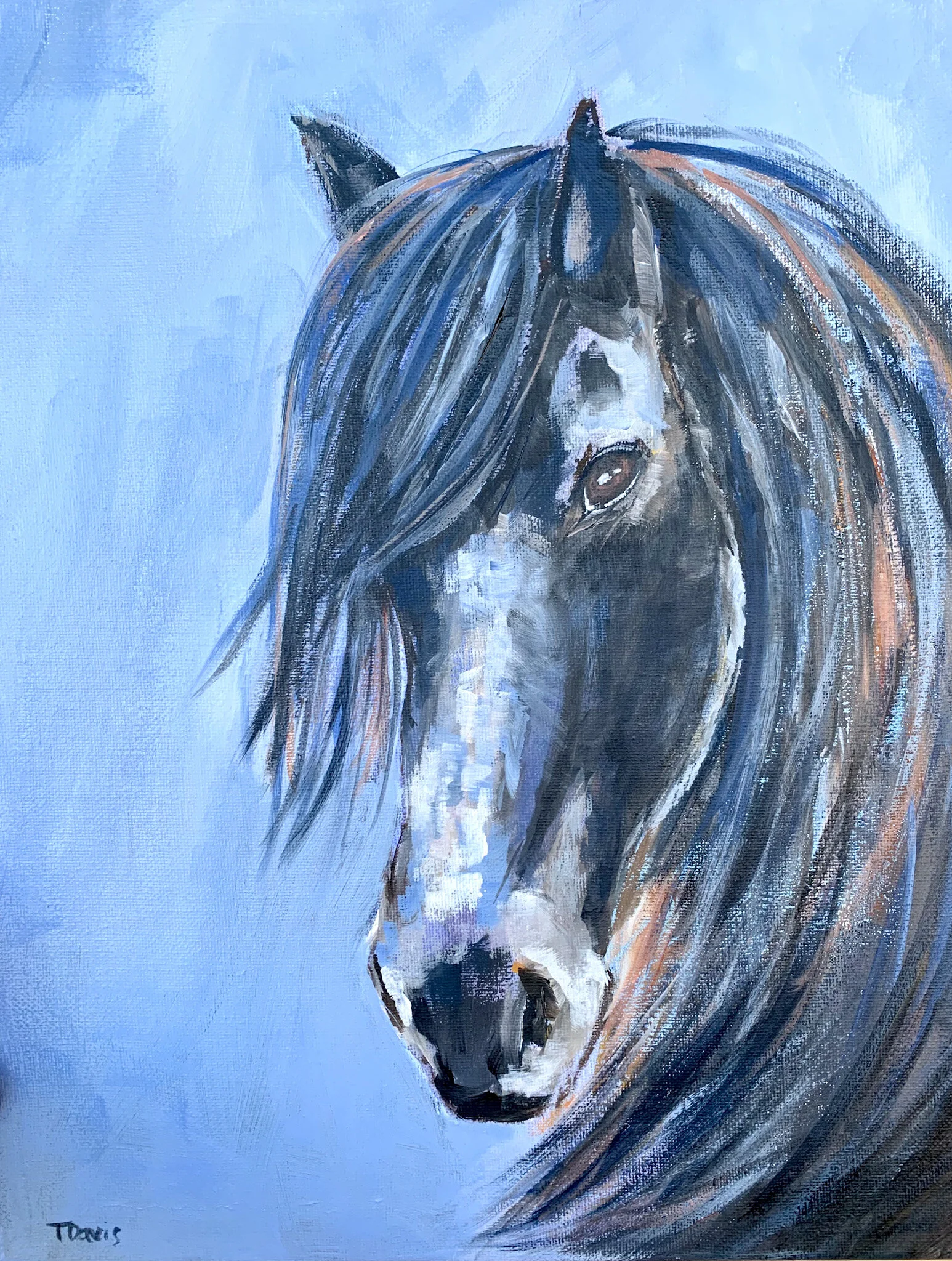 002AC6A5-0A9E-4CA3-9811-0CD558C00C35