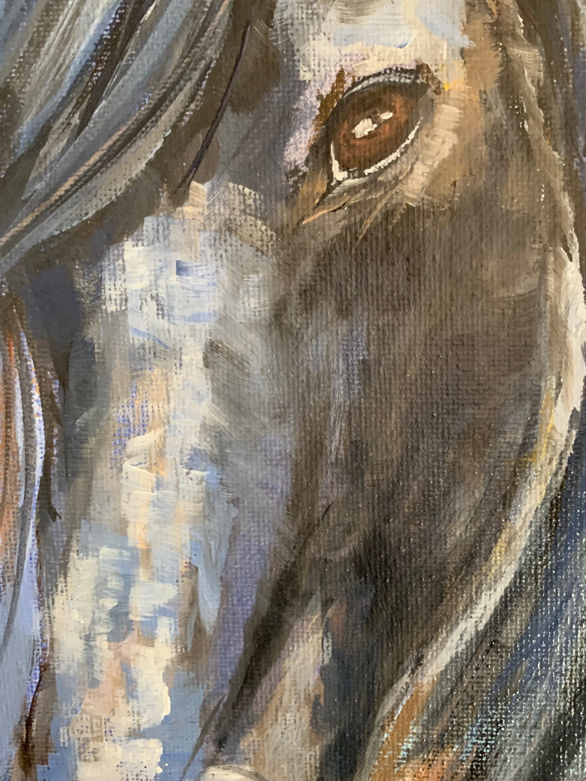 BC7B6DD5-2C1A-4DDB-AF93-D625EAAF19A2