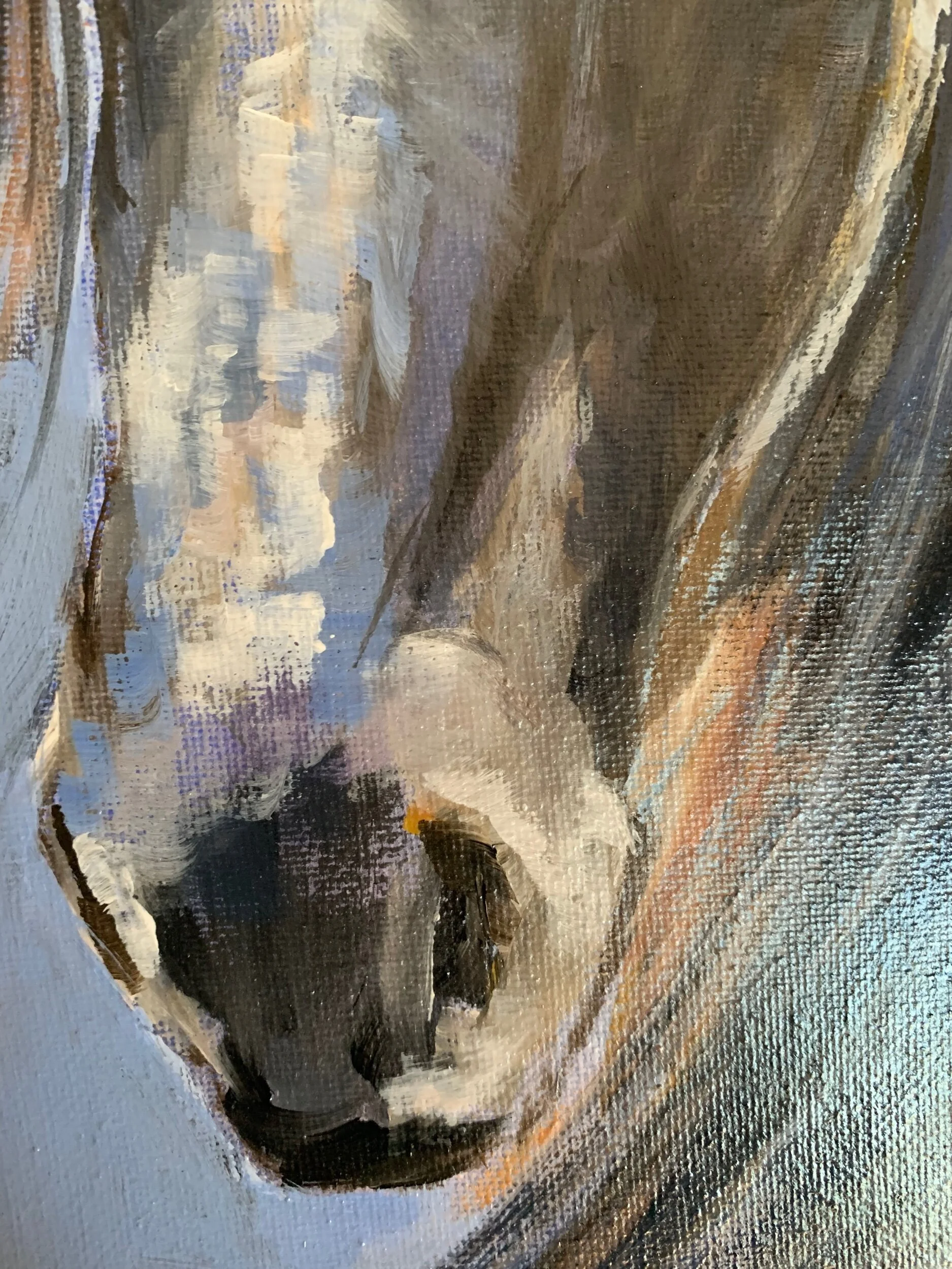 7934CE5E-DF9C-4157-AD73-1365E8E66588