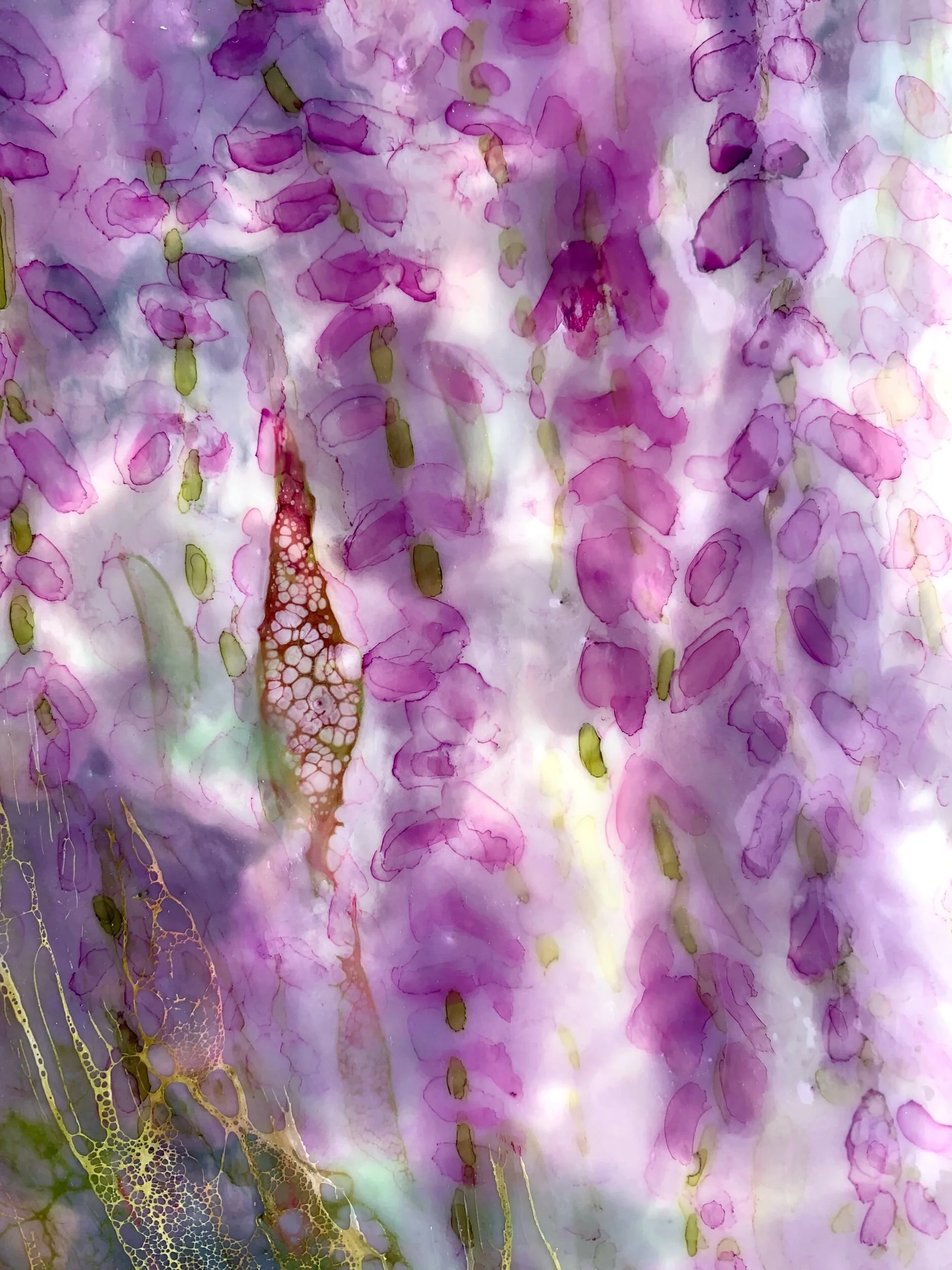 83AFD782-3918-4737-BE43-EB8A23223692