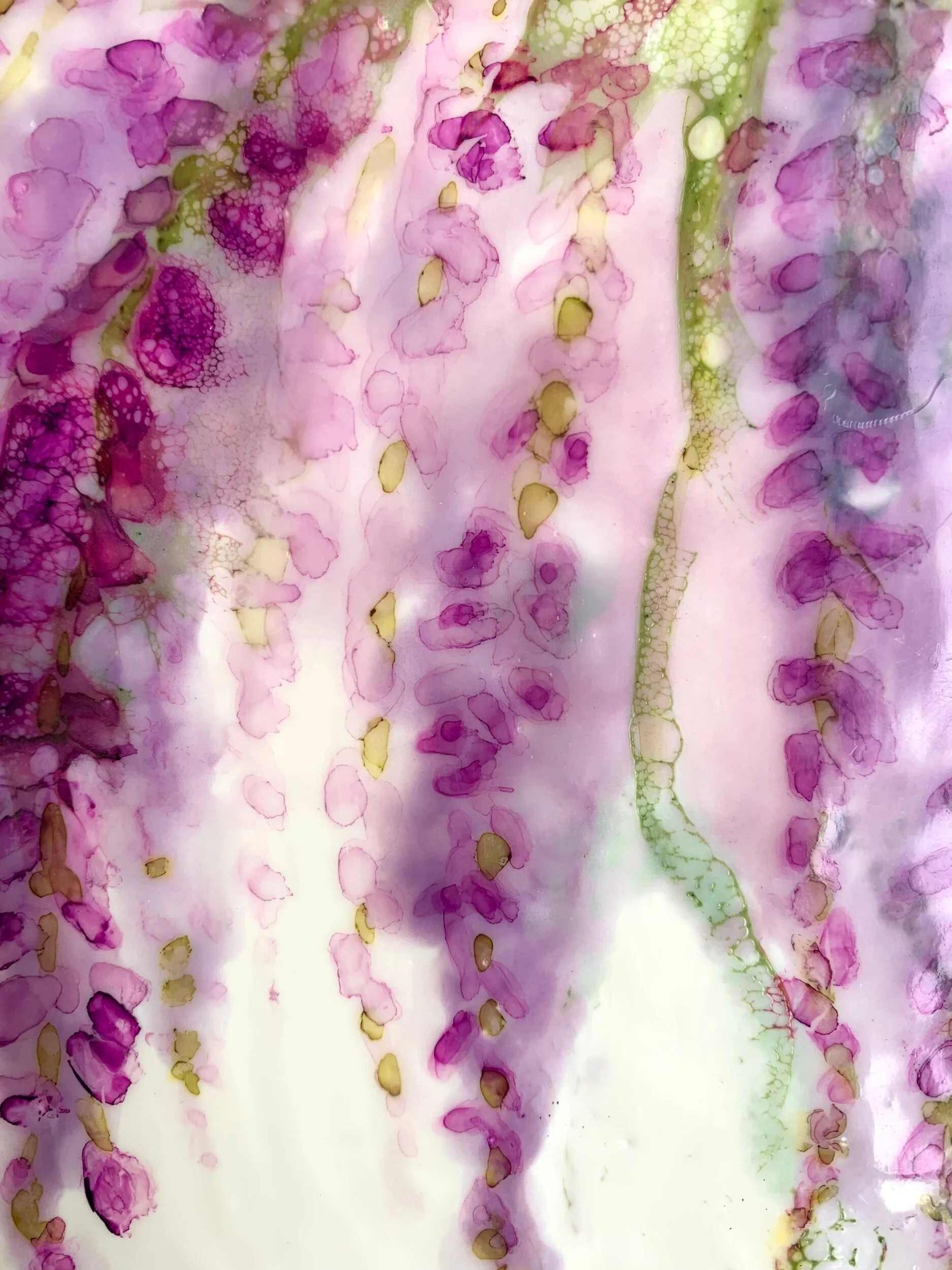 50D684BF-6B0B-48D1-8C78-EFB712E669AB