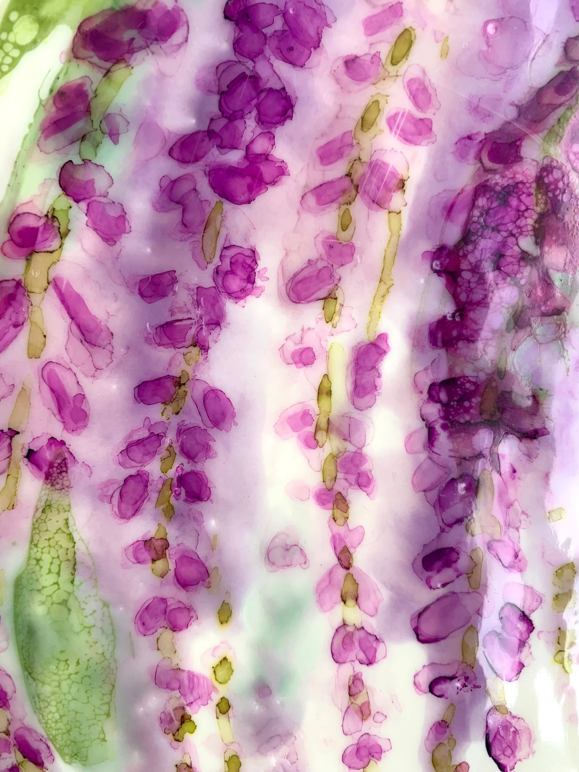 F548CA9D-E3B0-45AC-87E6-B277E80121EA