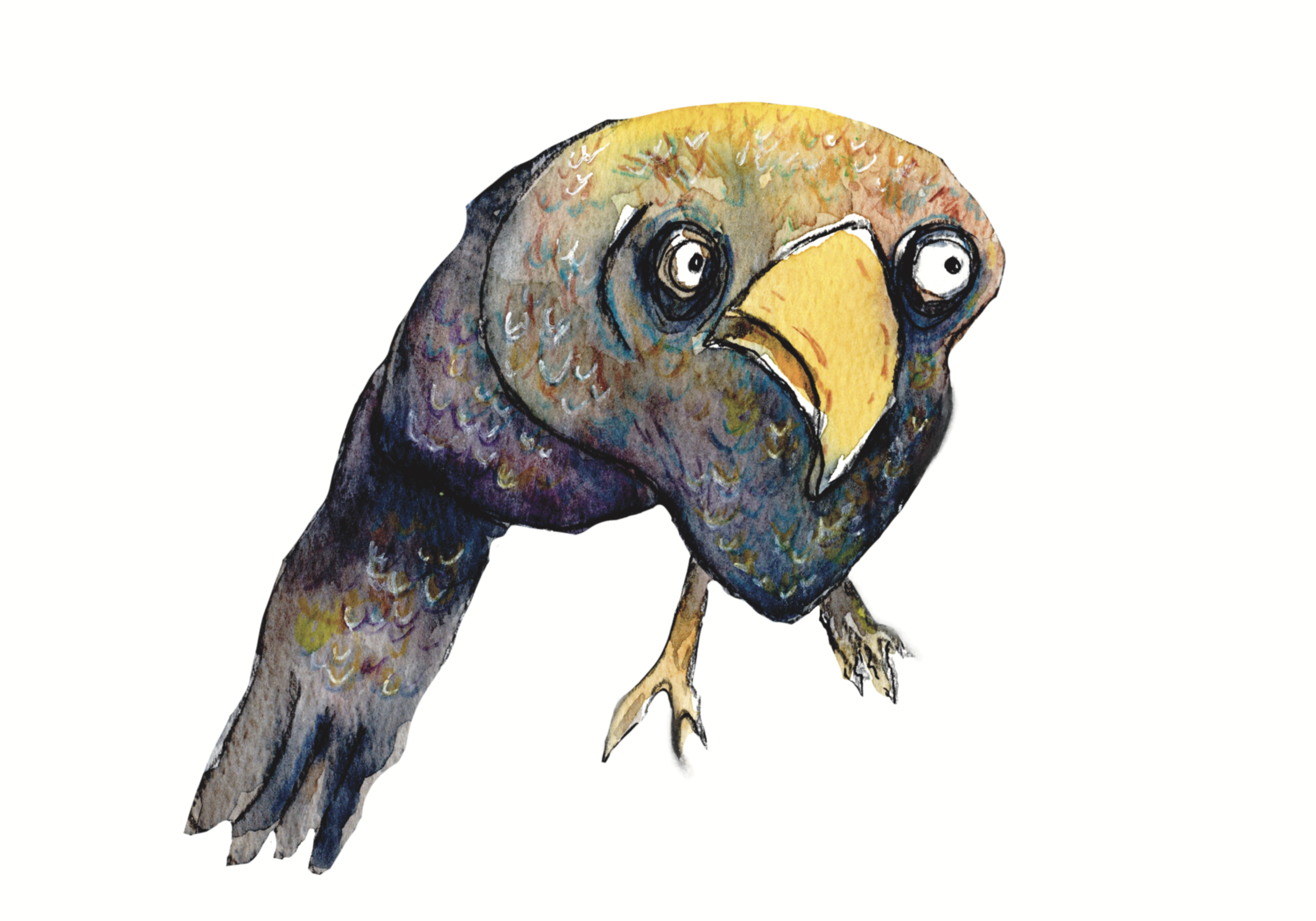 4.9x7 worried crow.png