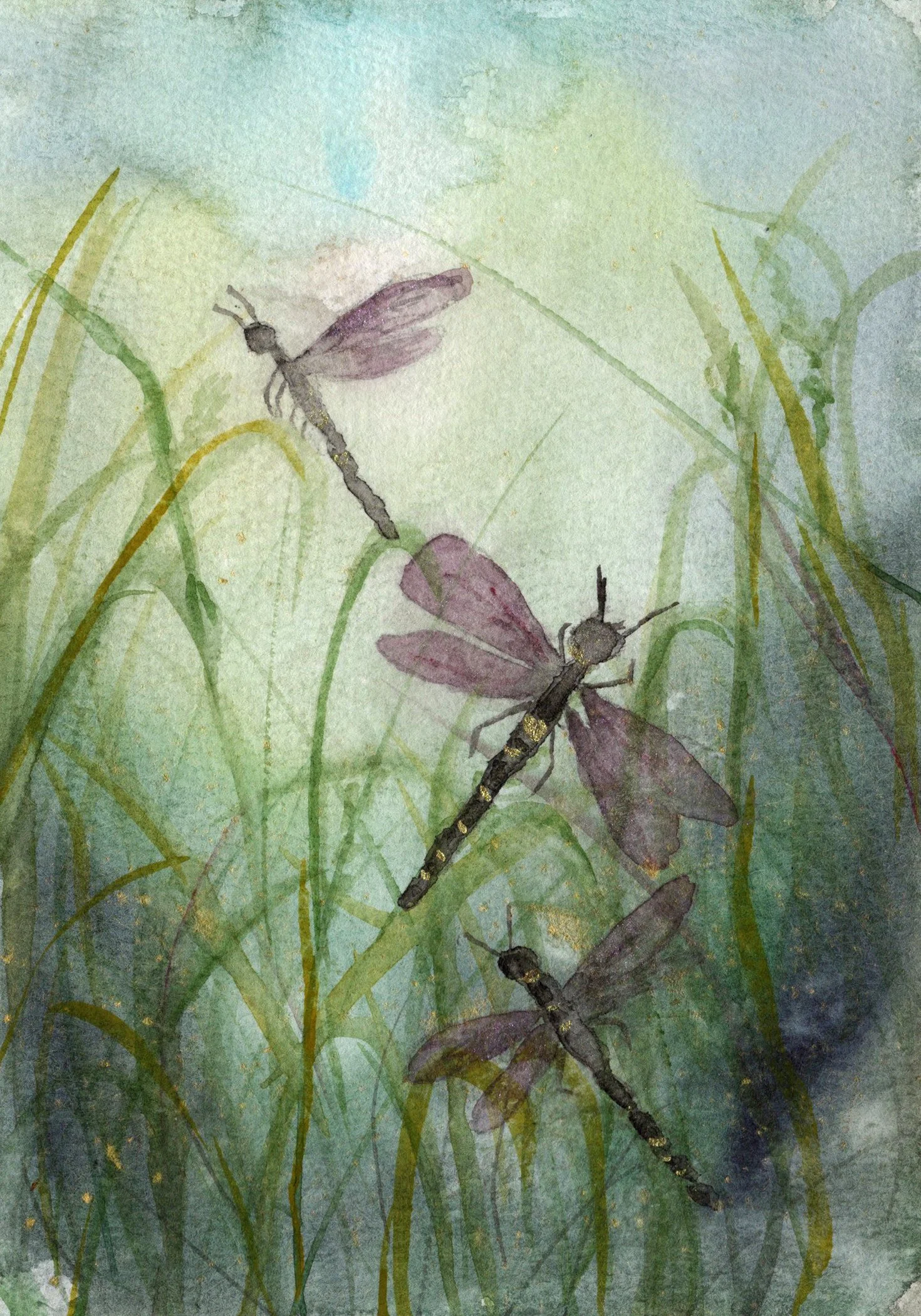 3-dragonflies-in-grass.jpg