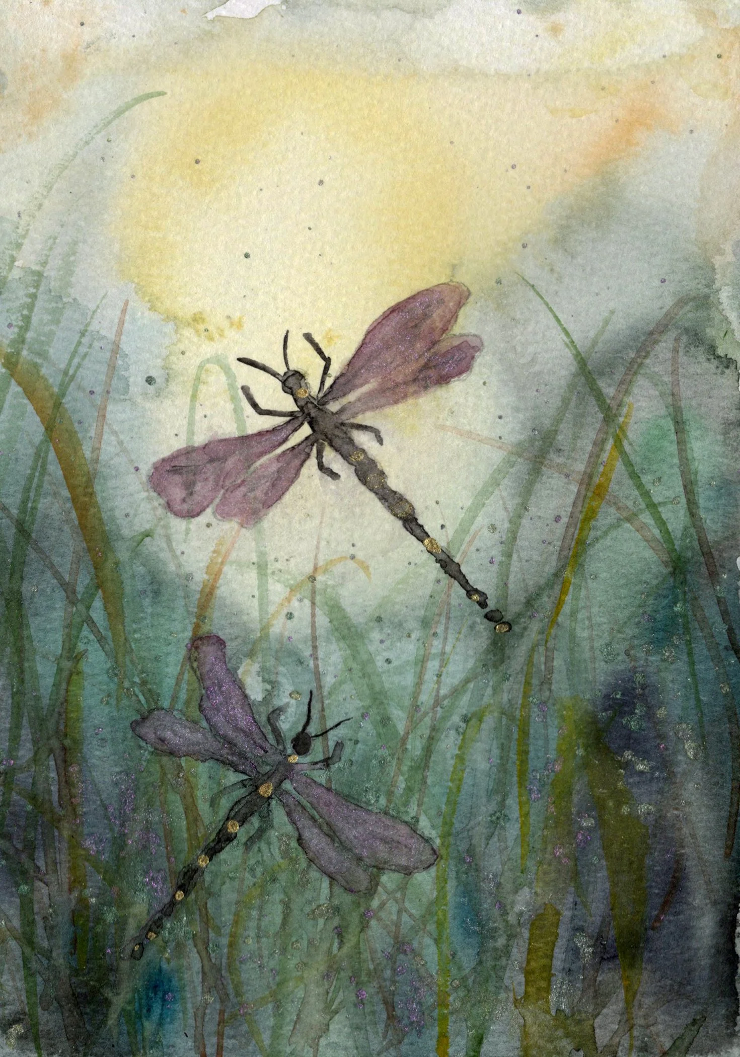 2-dragonflies-in-grass.jpg
