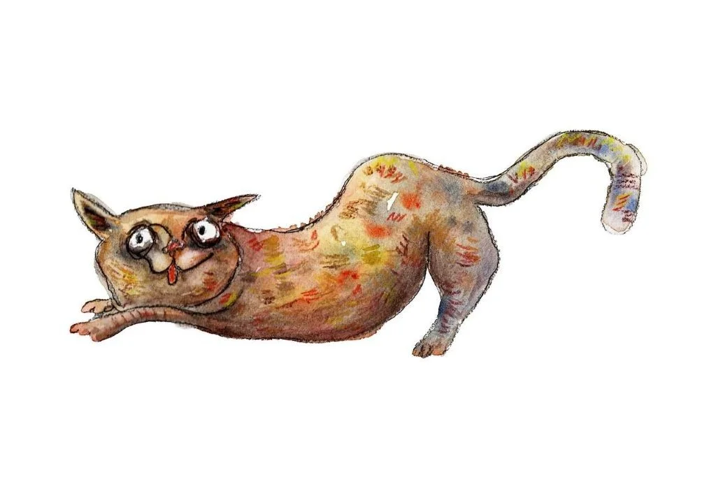 Crazy cat for stickers.jpg