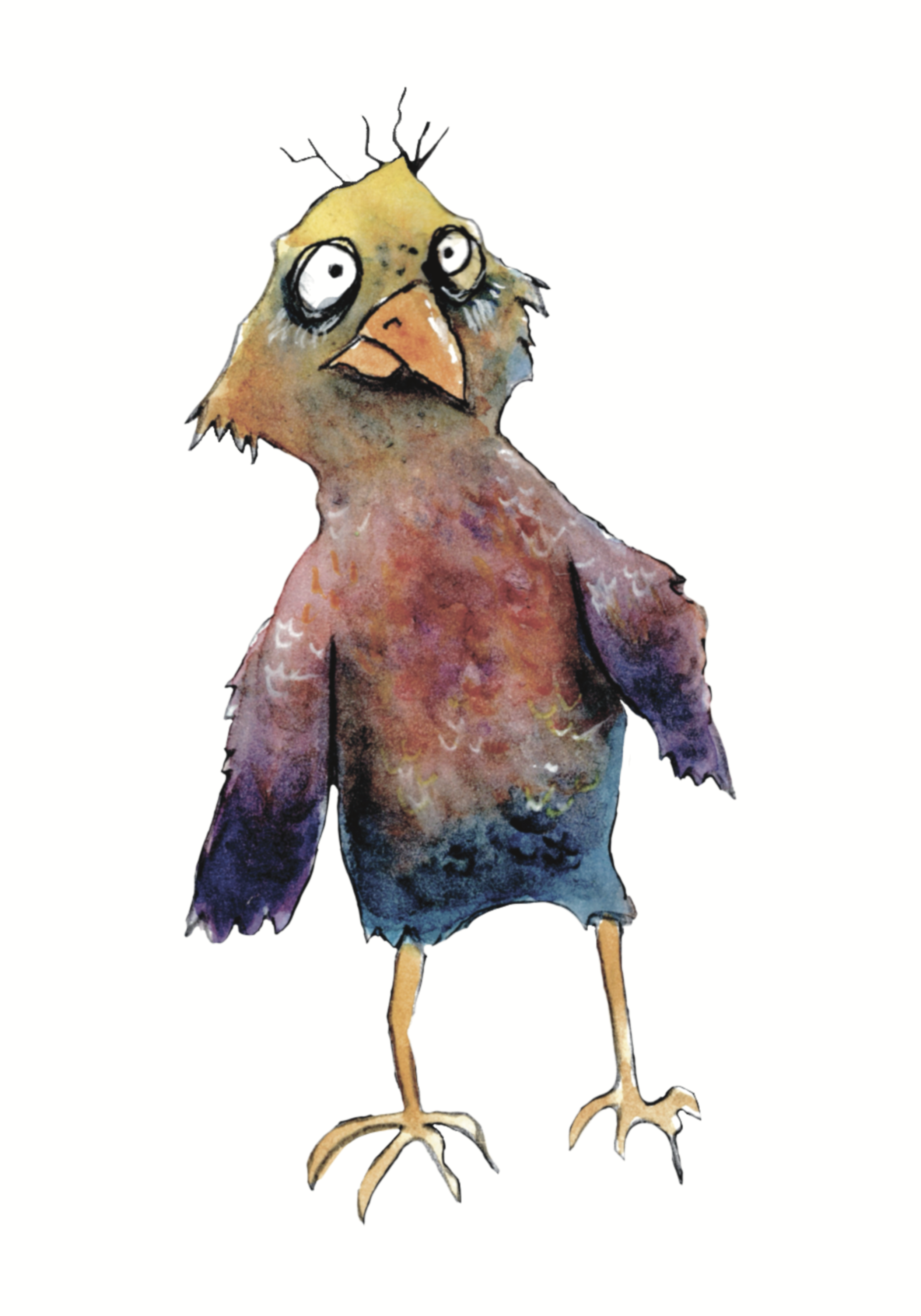 Flustered crow 4.9x7.png