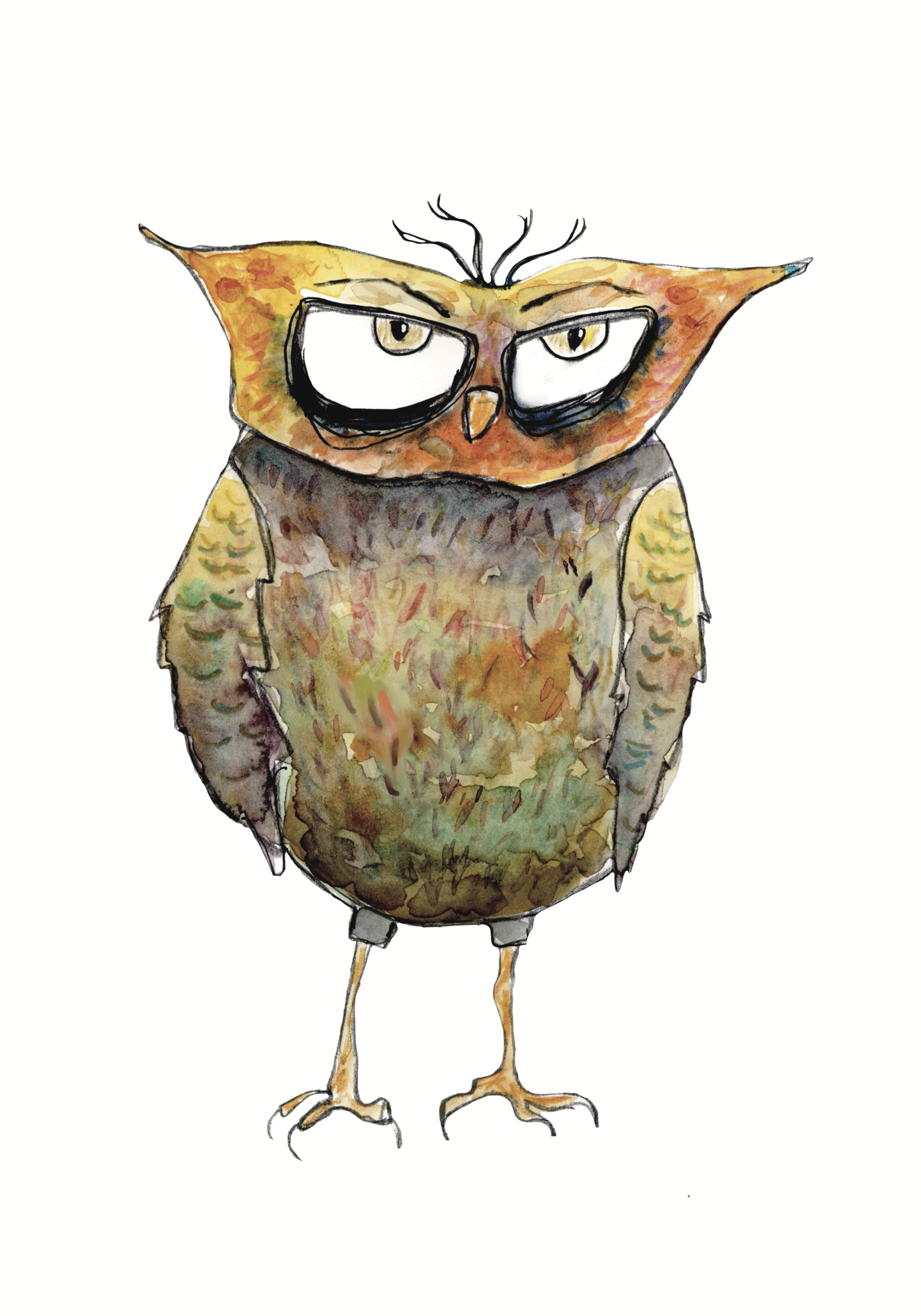 Angry owl 4.9x7.png