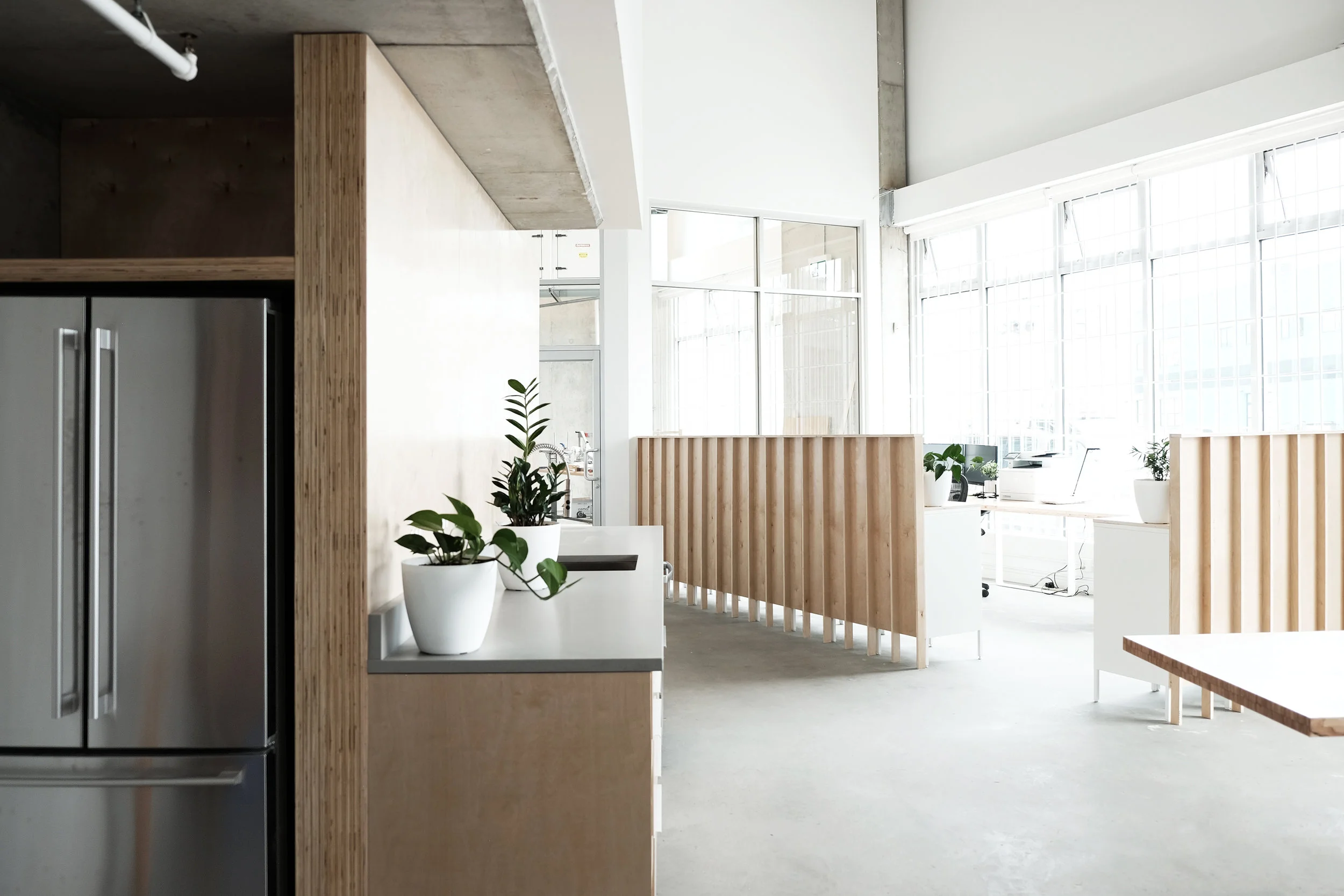 FRIDGE LOOKING NORTH.jpg