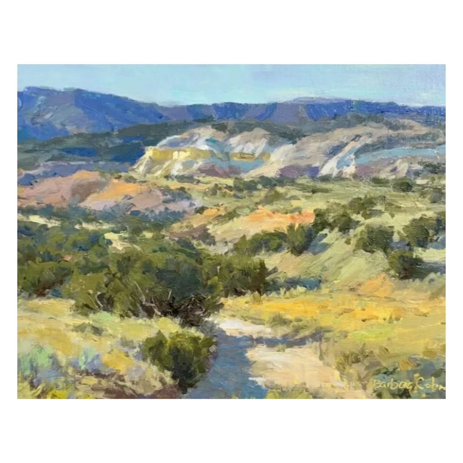 Path to the White Cliffs