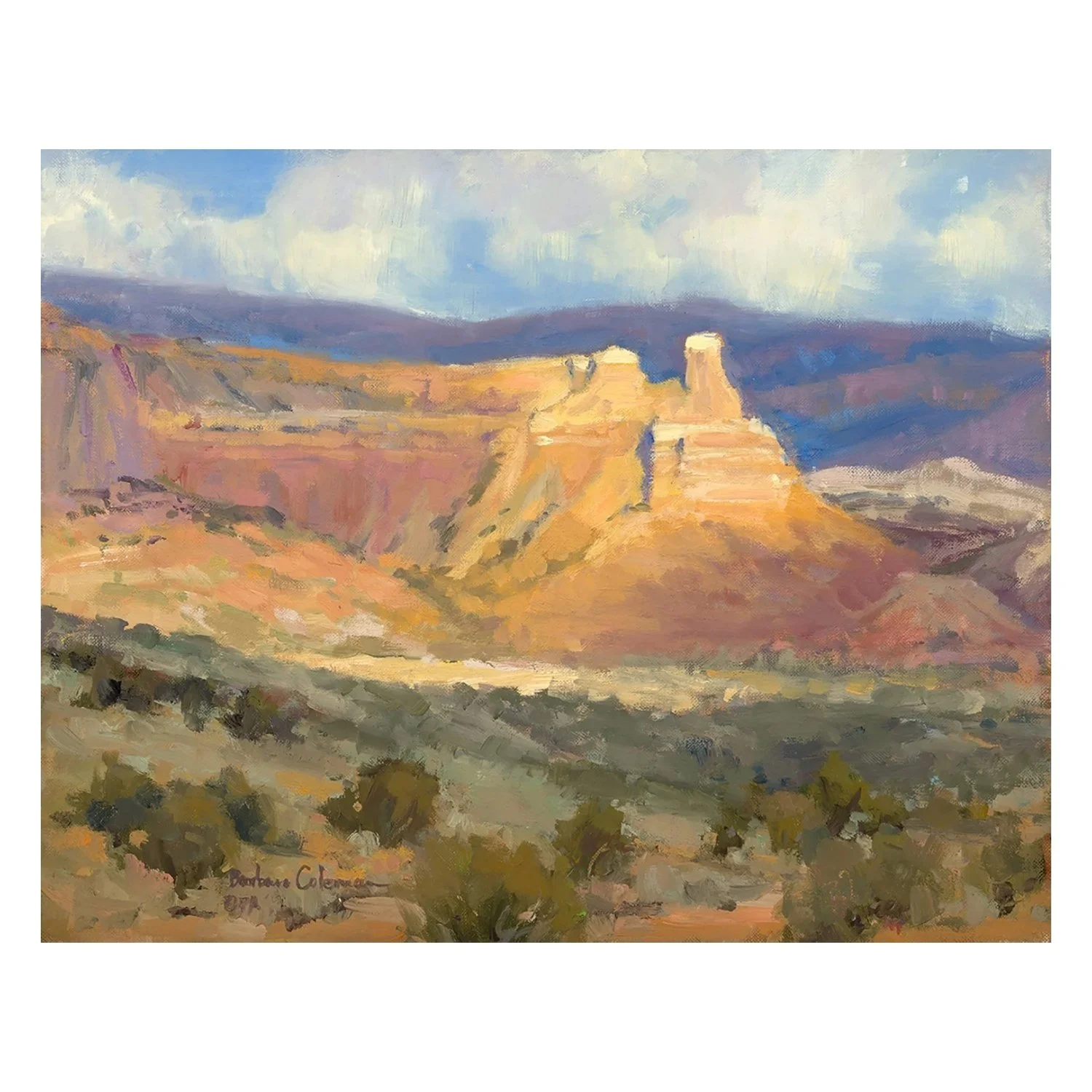 Chimney Rock Skitter Light  Barbara Coleman.jpg