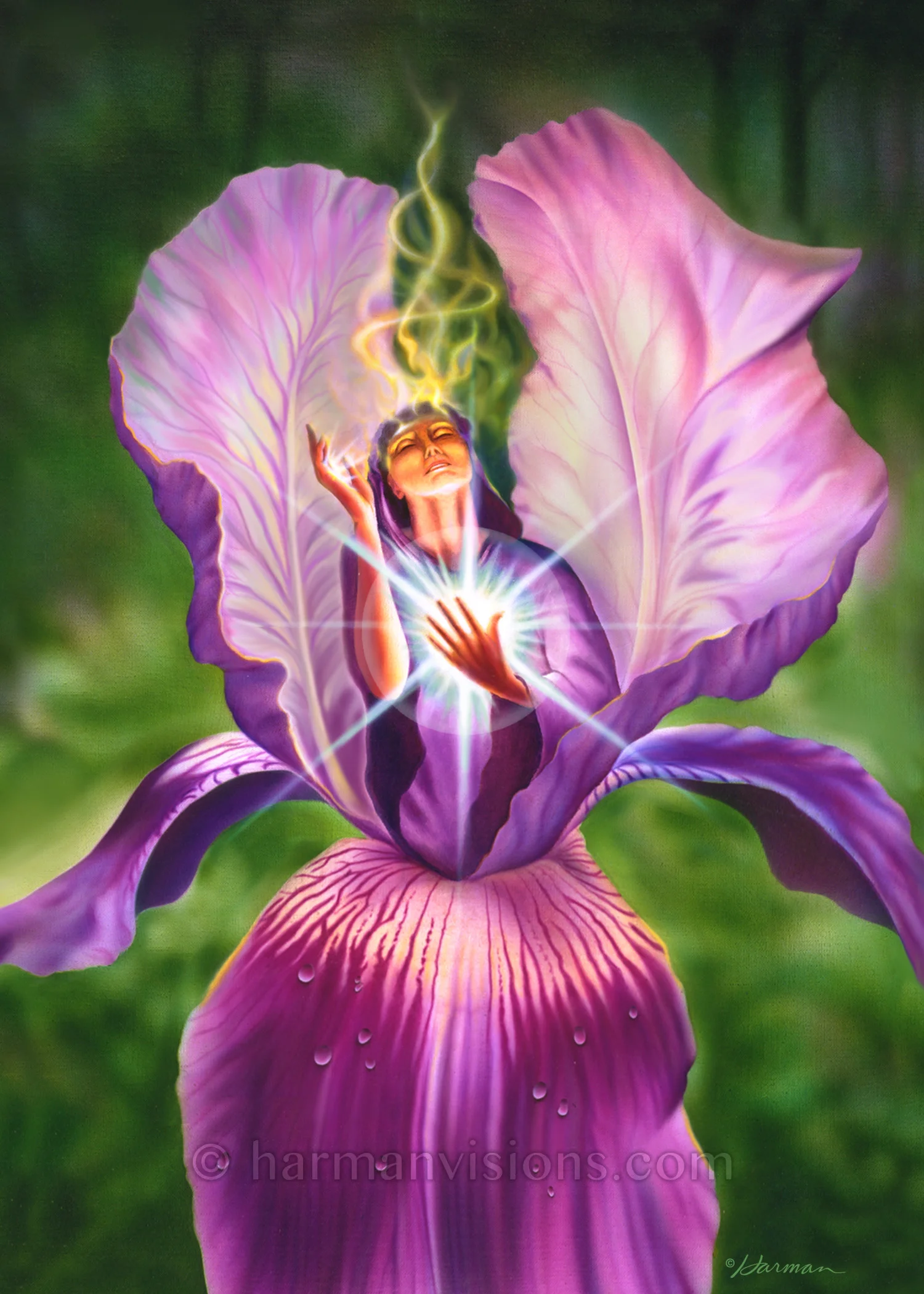 Iris Angel
