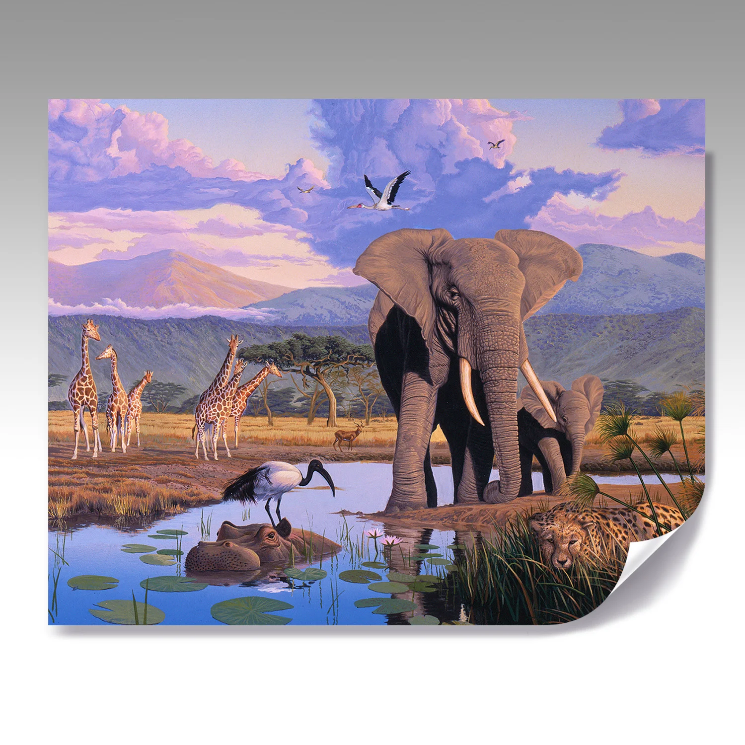 AFRICA ELEPHANT fine paper print