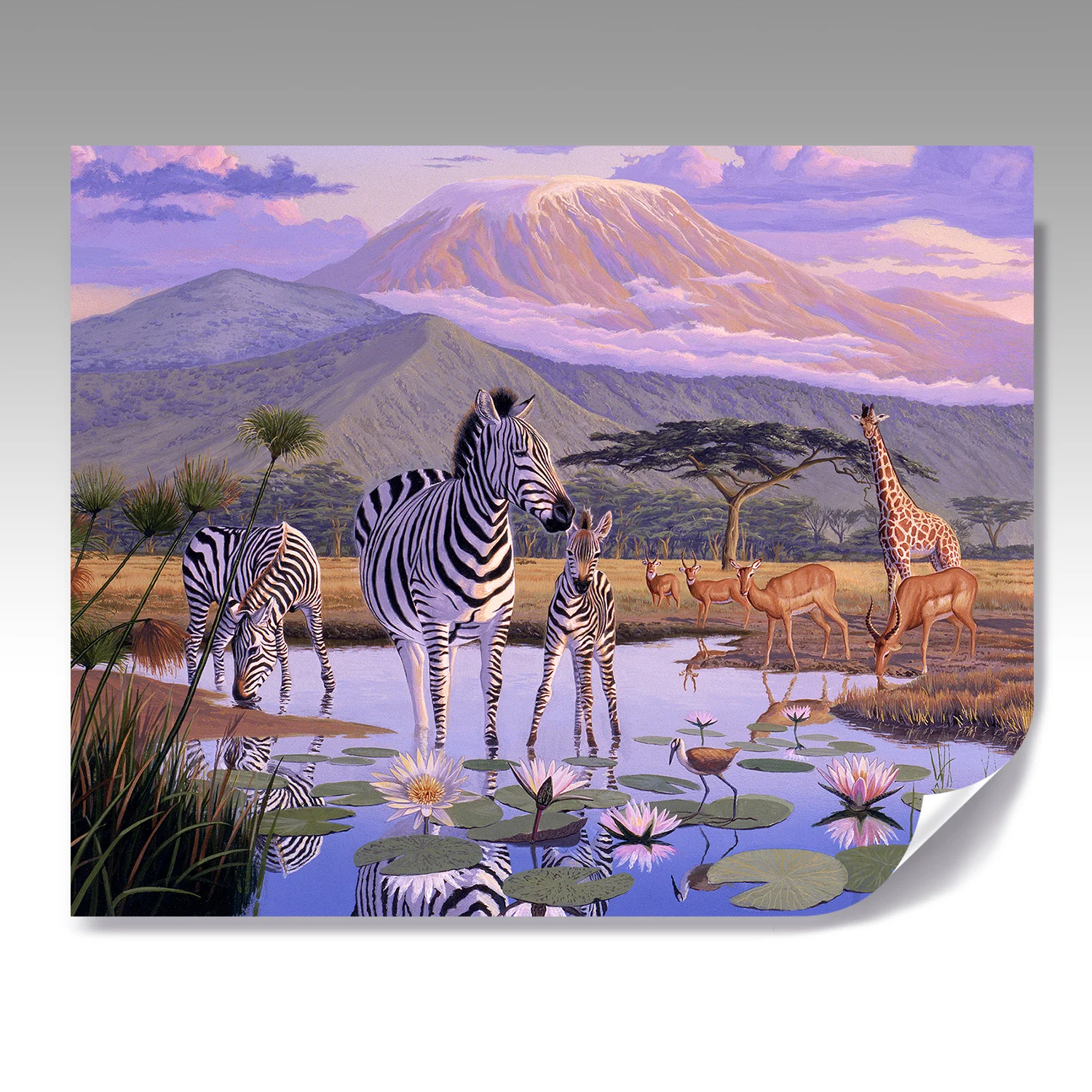 AFRICA ZEBRA fine paper print
