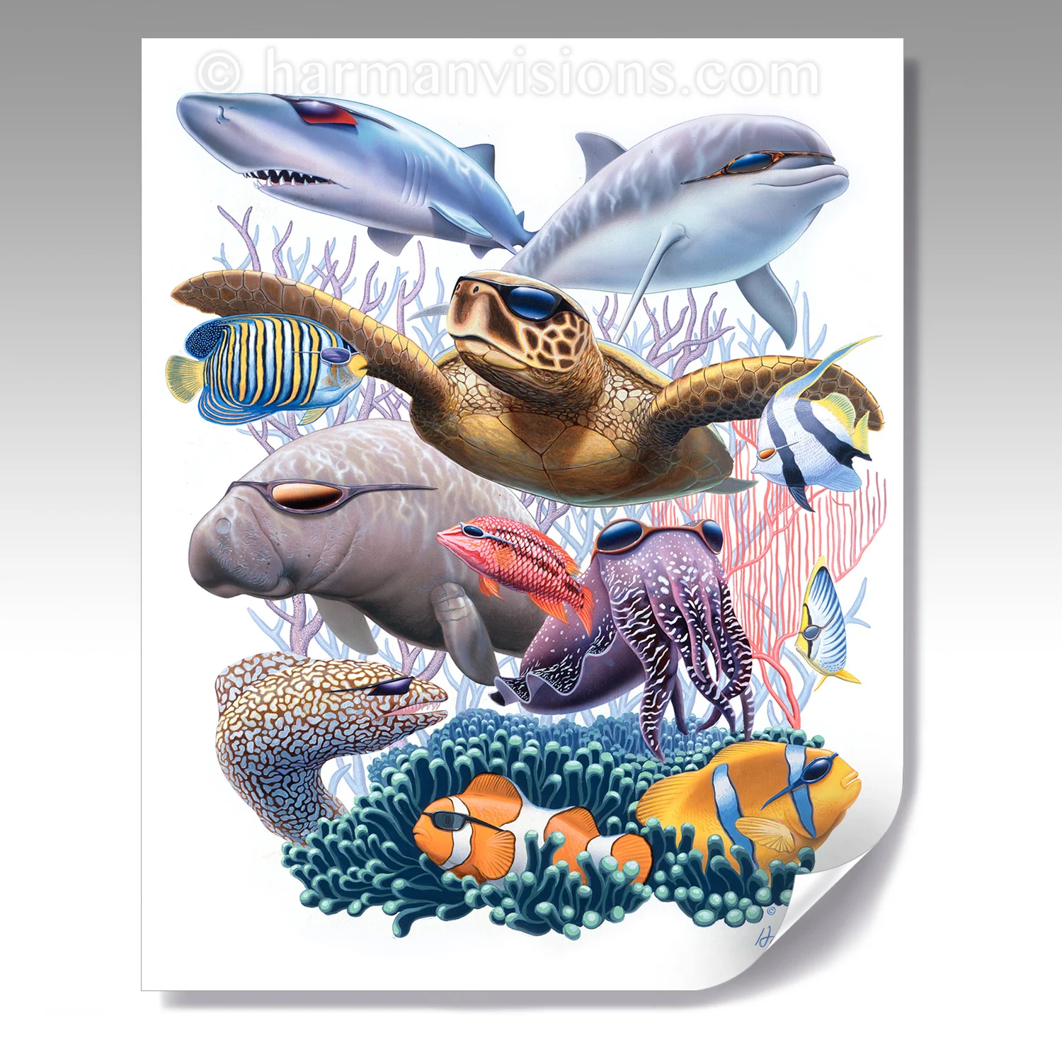 CORAL REEF COOL fine paper print