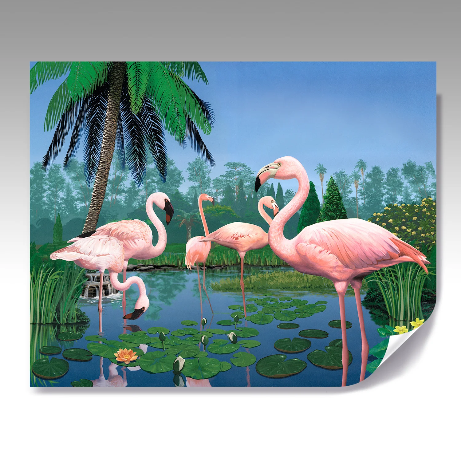 FLAMINGOS fine paper print
