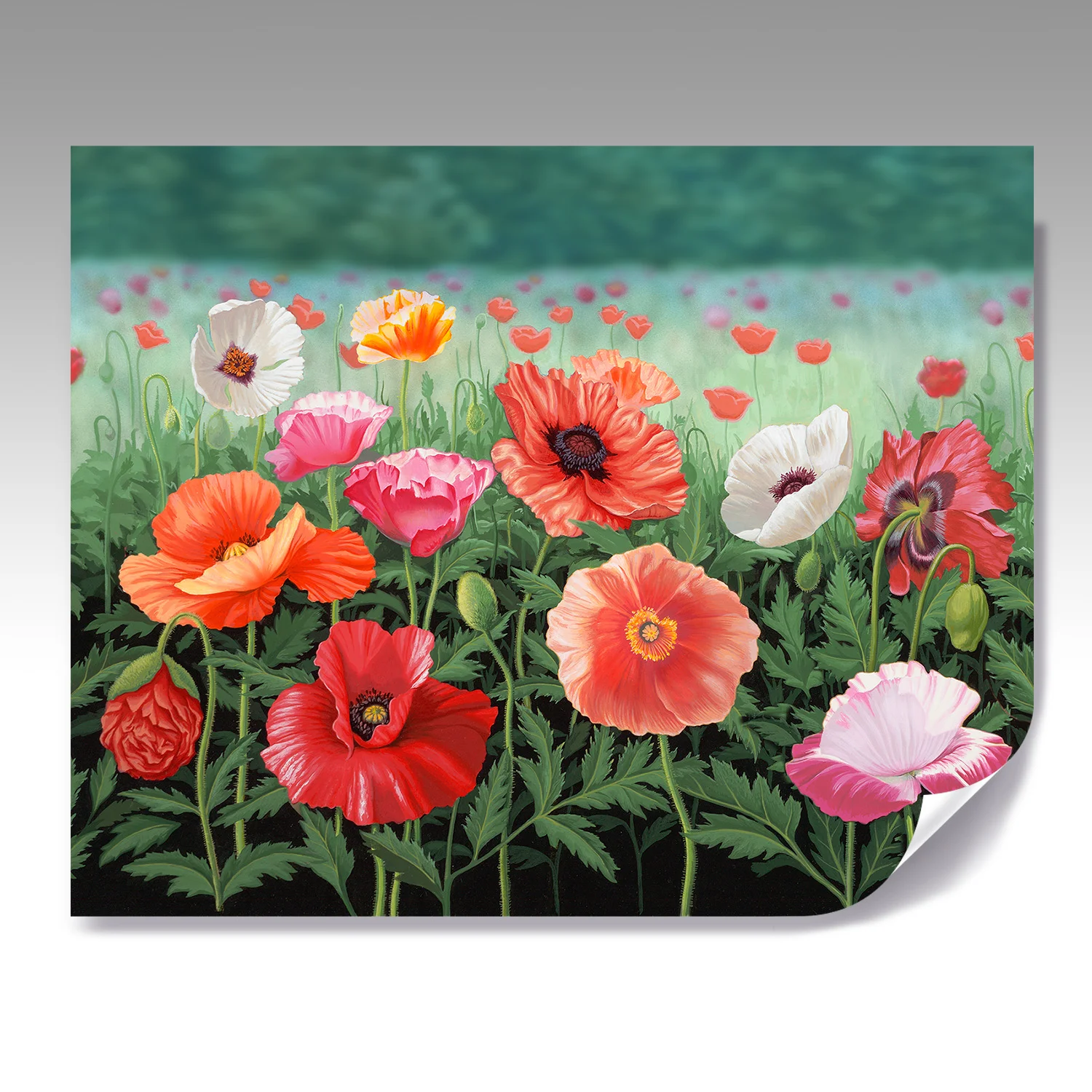 POPPY FIELD fine paper print