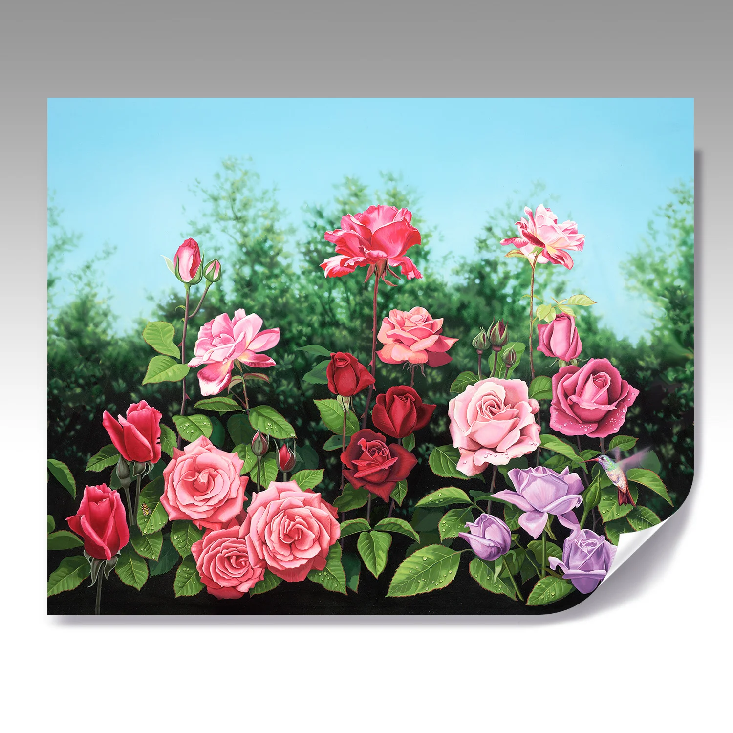 ROSE GARDEN fine paper print