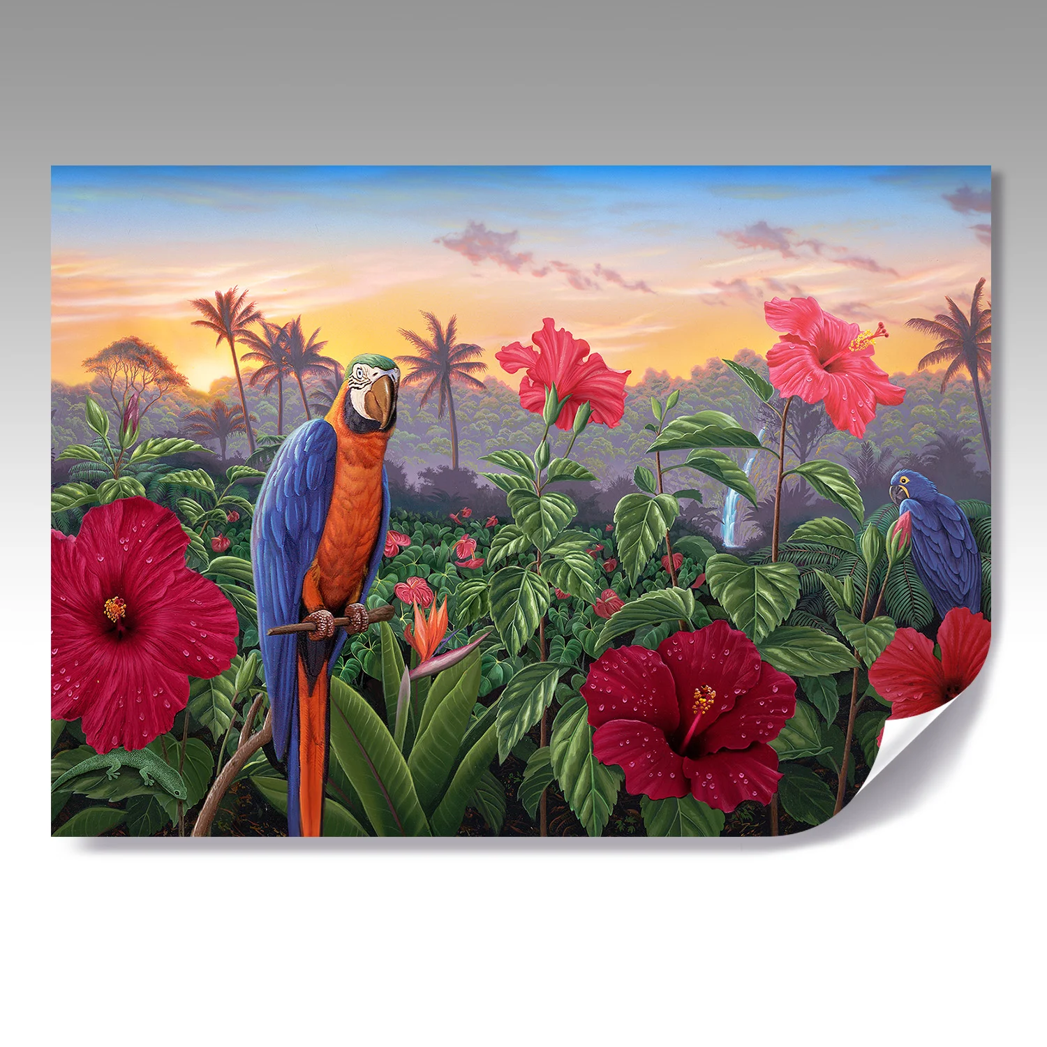 HIBISCUS HAWAII fine paper print