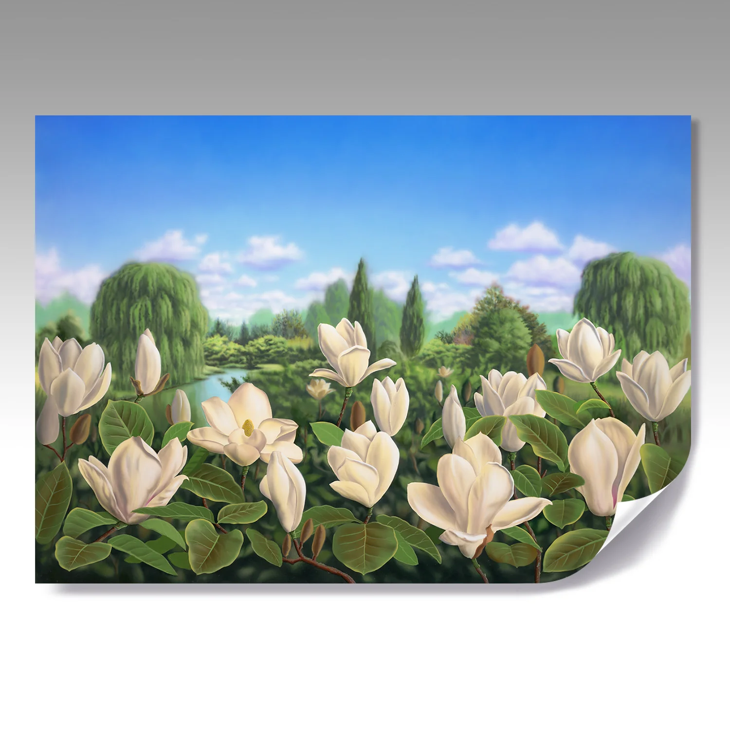 MAGNOLIAS fine paper print