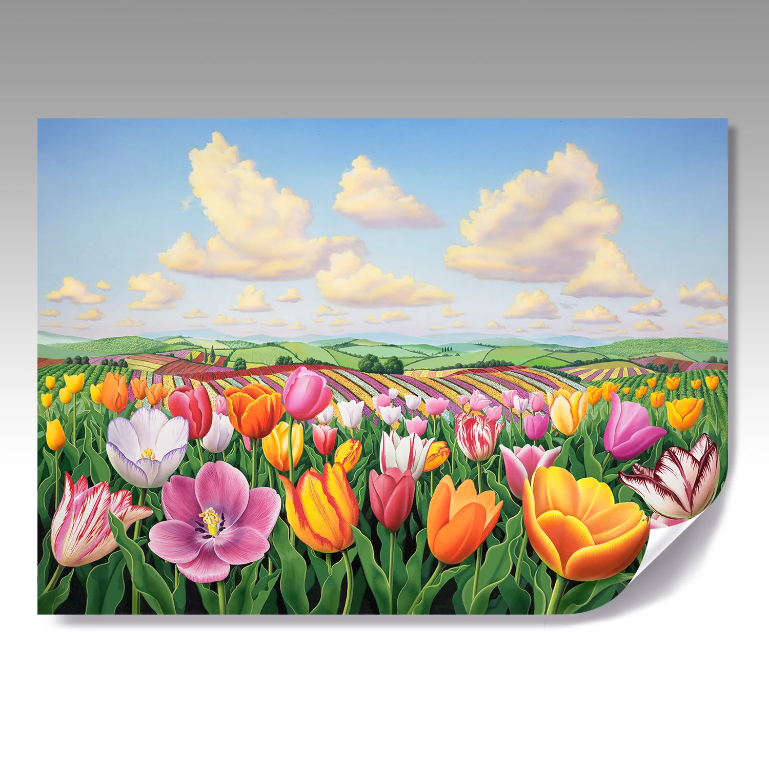 TULIPS fine paper print