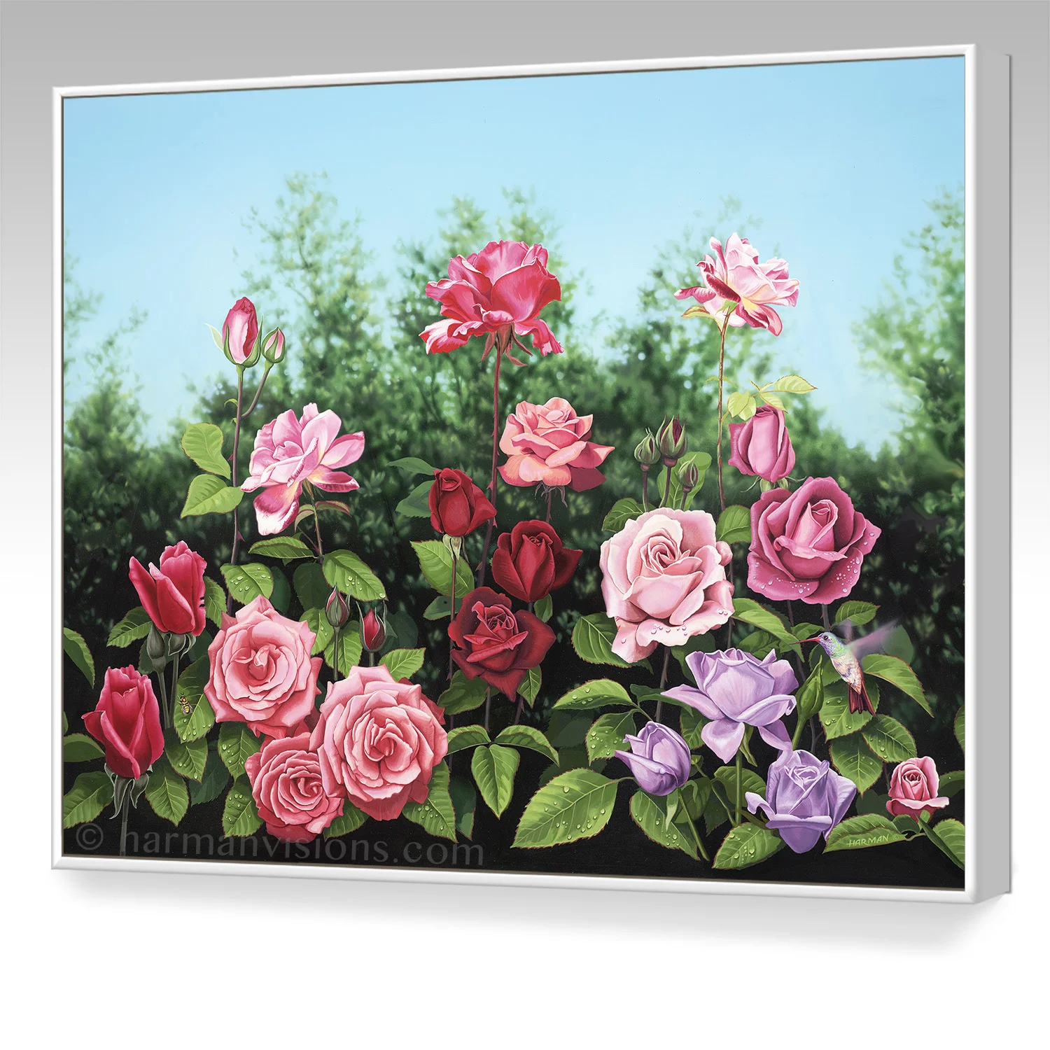 rosegarden.jpg