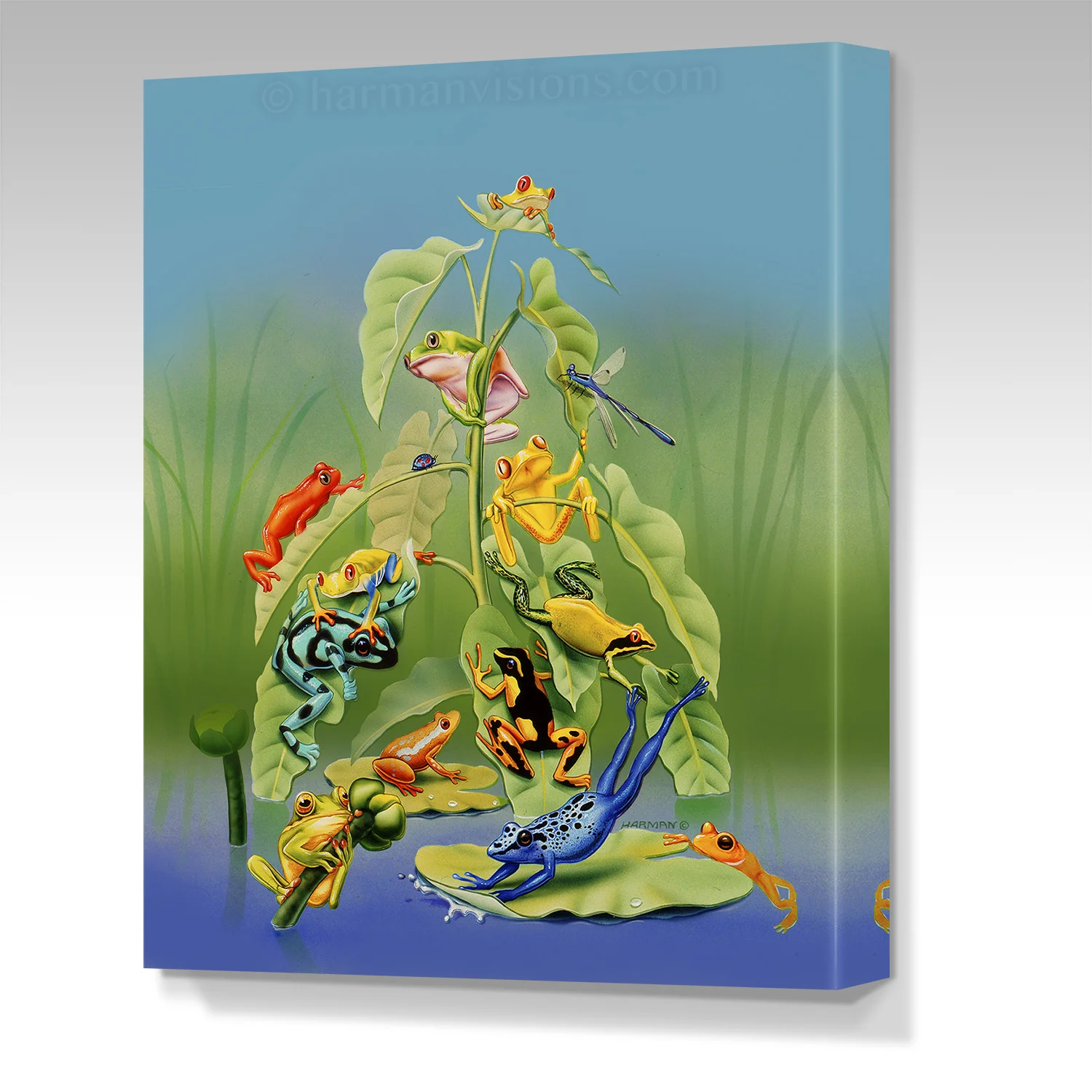 COMIC FROGS gallery wrap canvas