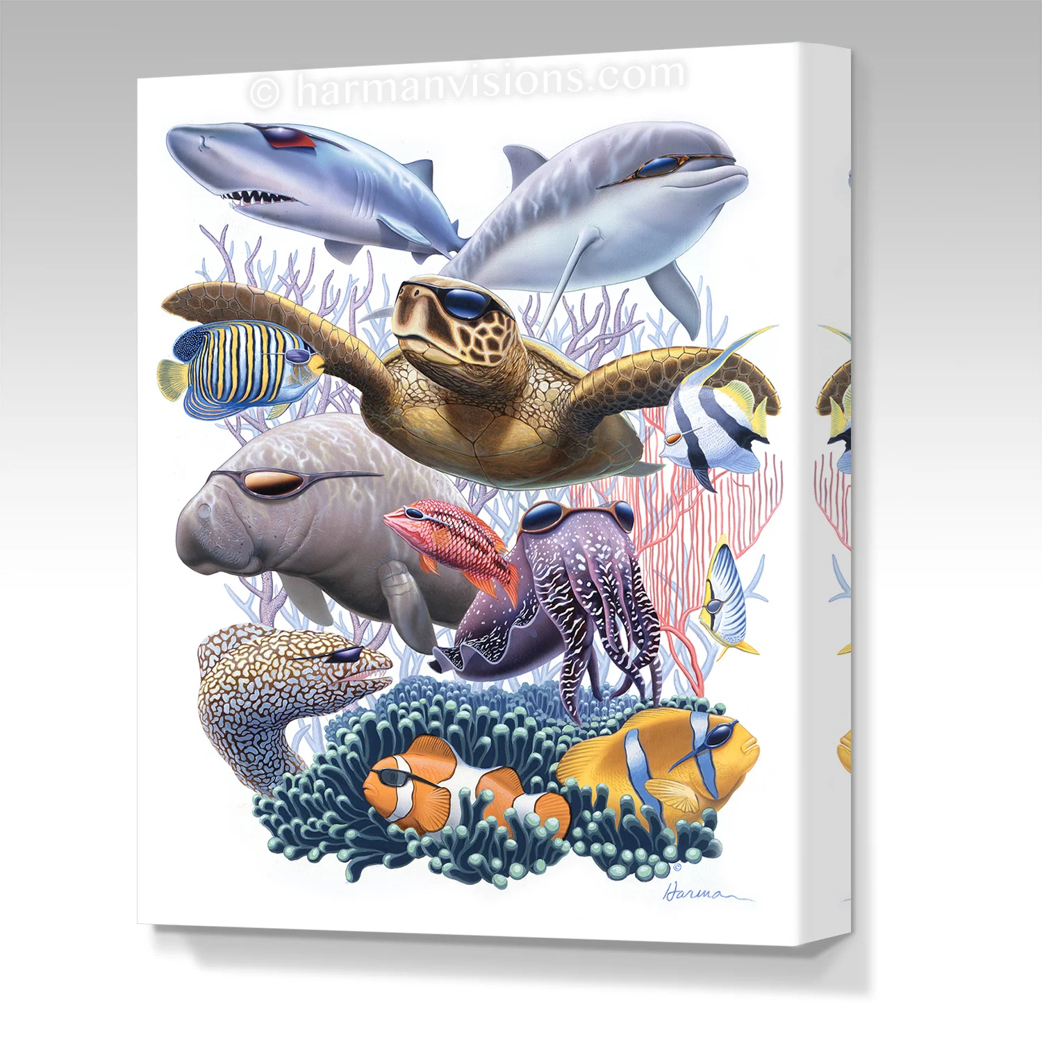 CORAL REEF COOL gallery wrap canvas