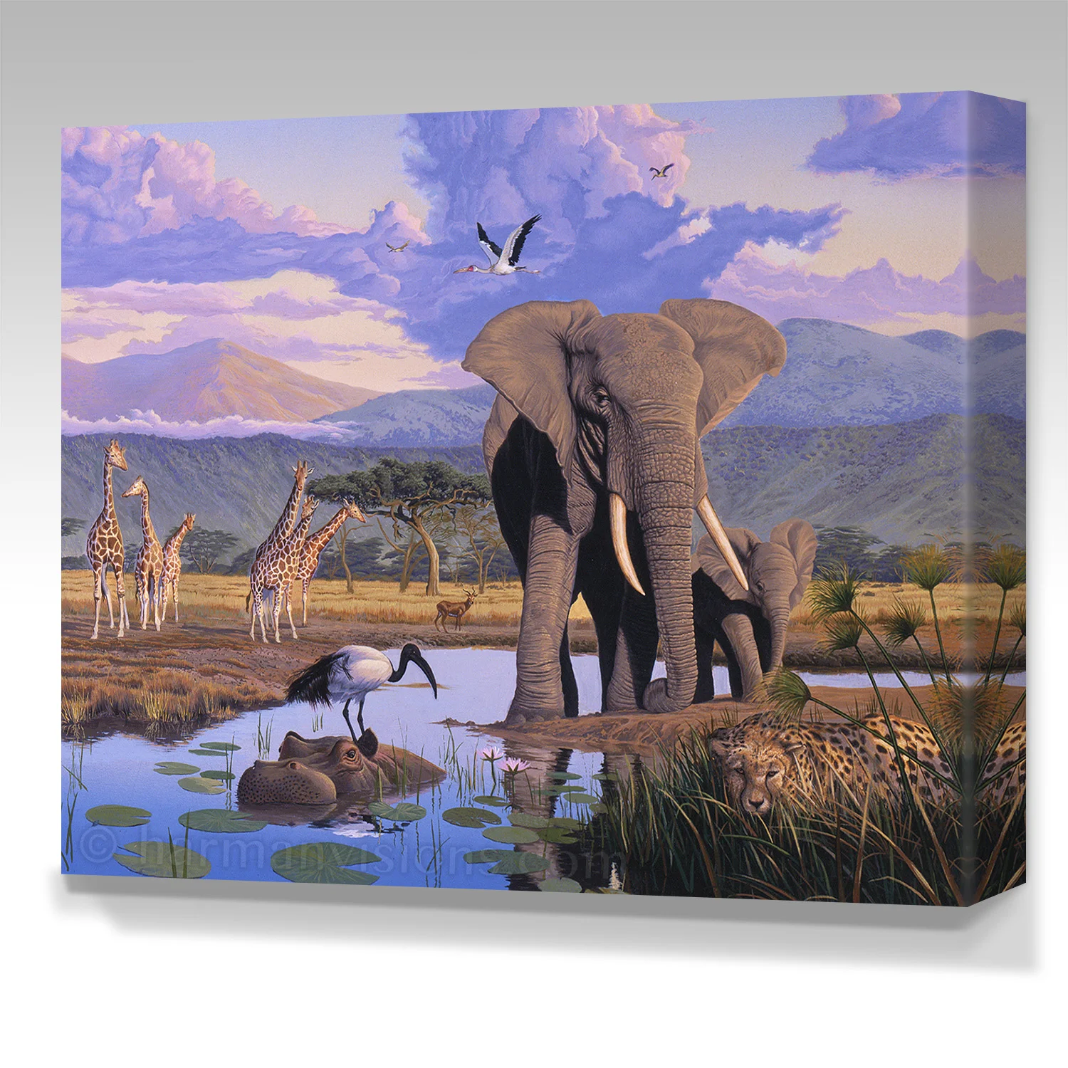 AFRICA ELEPHANT gallery wrap canvas