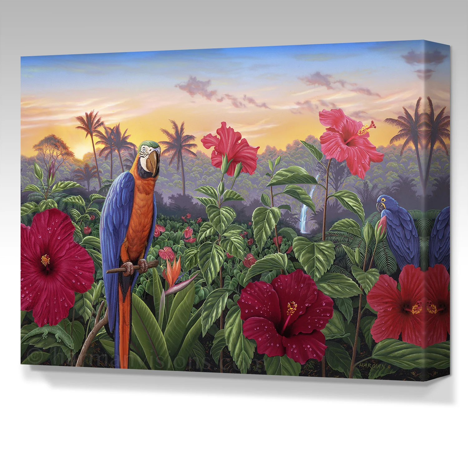 HIBISCUS HAWAII gallery wrap canvas
