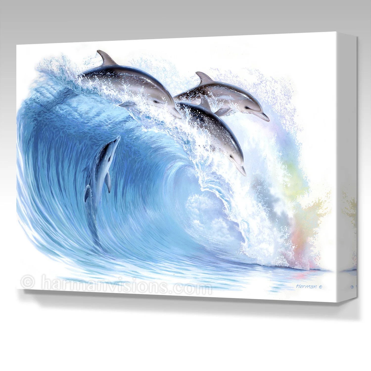 JOY RIDING gallery wrap canvas
