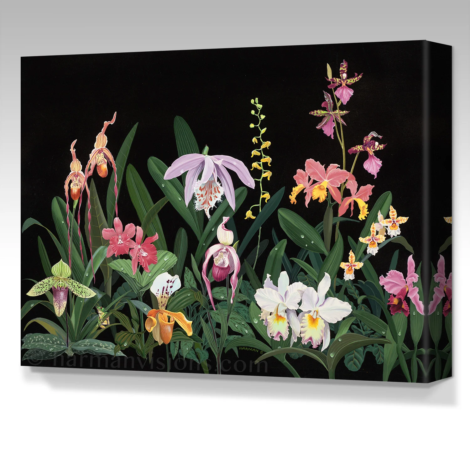 ORCHIDS gallery wrap canvas