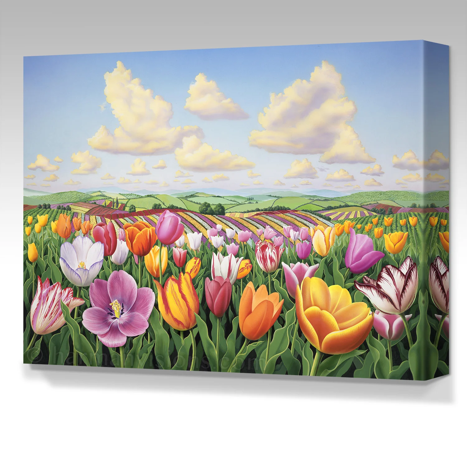 TULIPS gallery wrap canvas