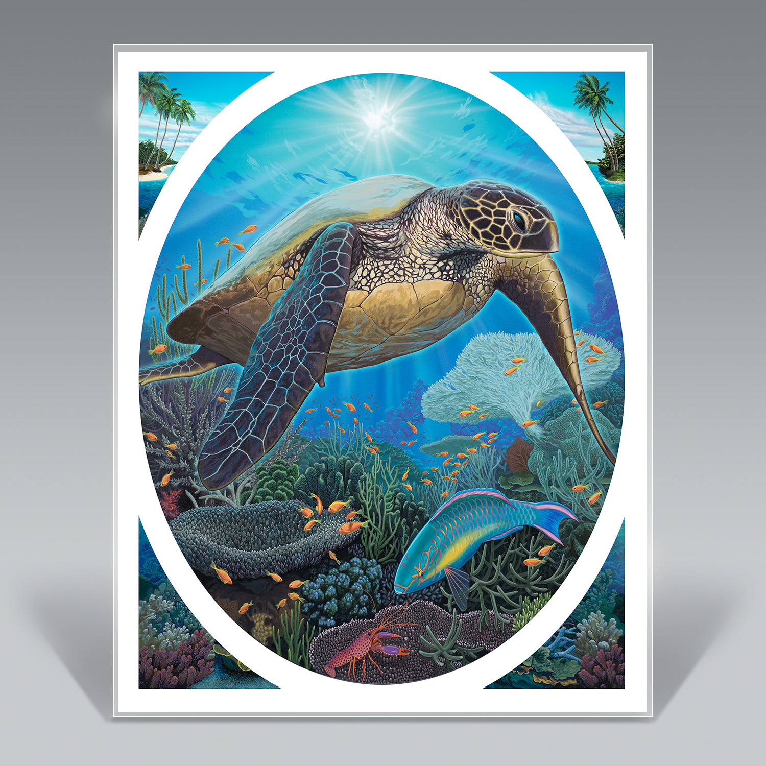 seaturtle.jpg