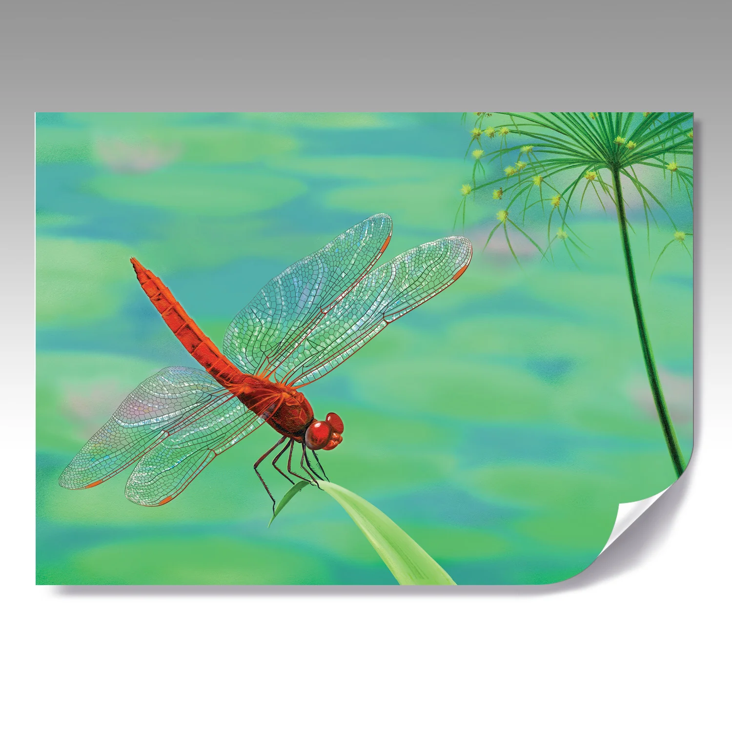 DRAGONFLY VISITATION fine paper print