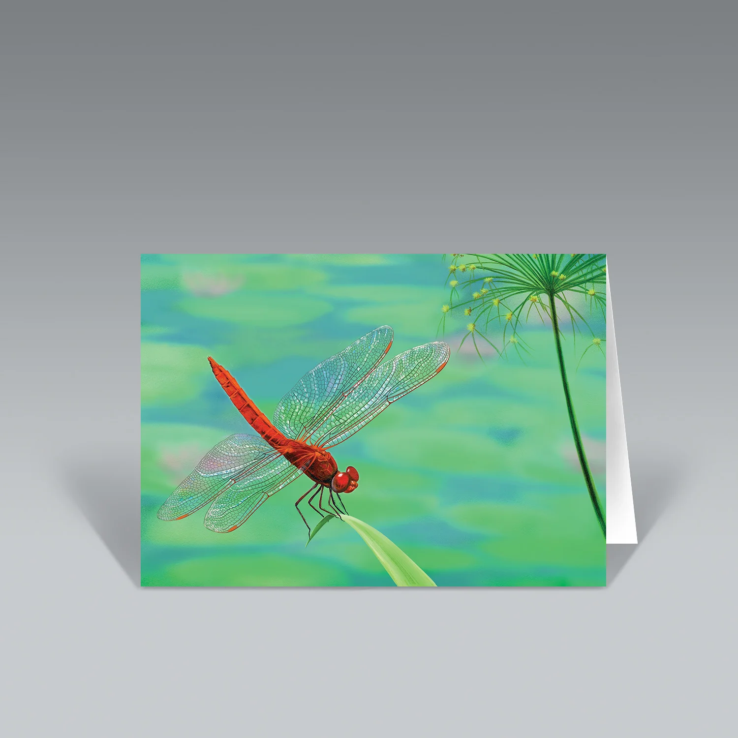 DRAGONFLY VISITATION notecard