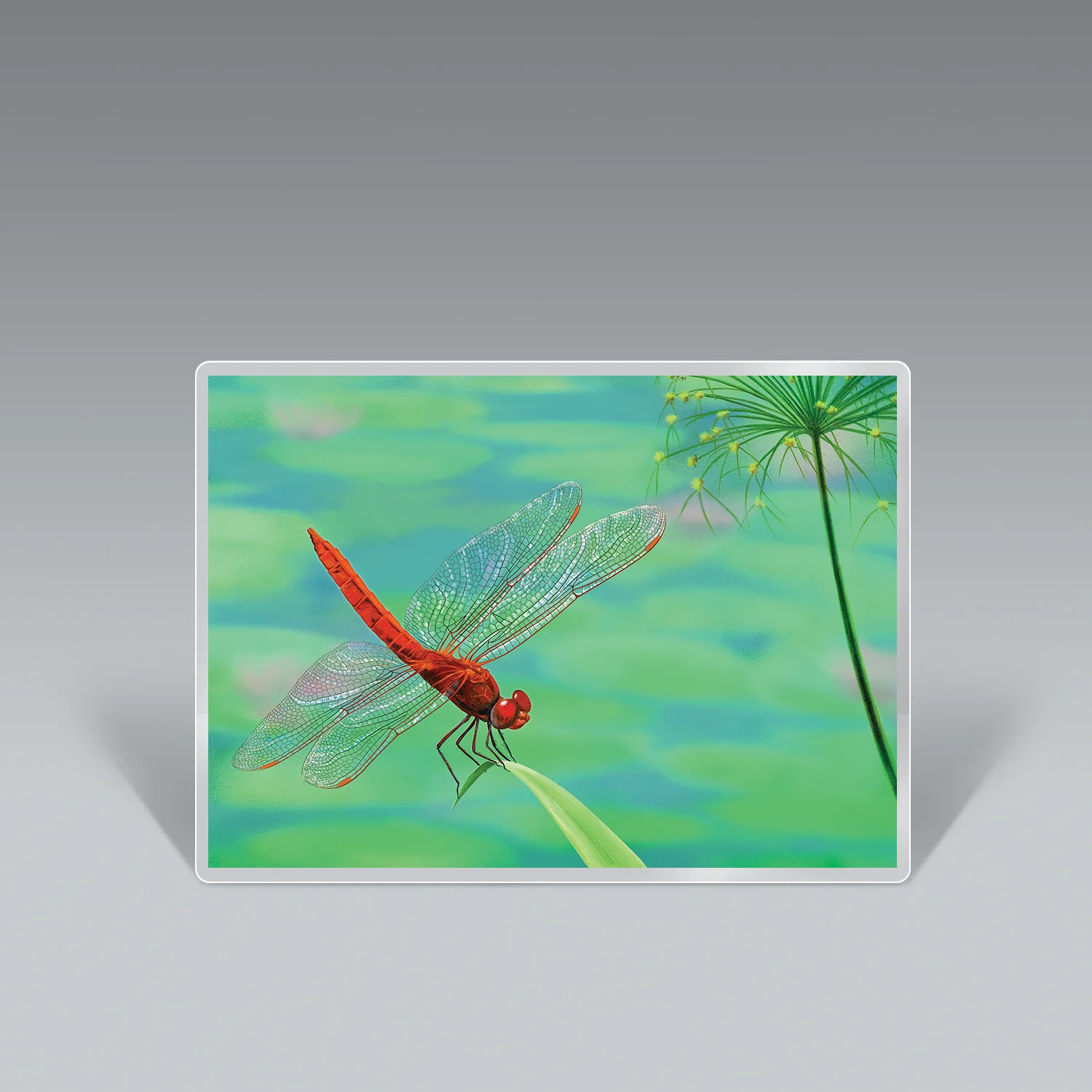 DRAGONFLY VISITATION laminated altar card