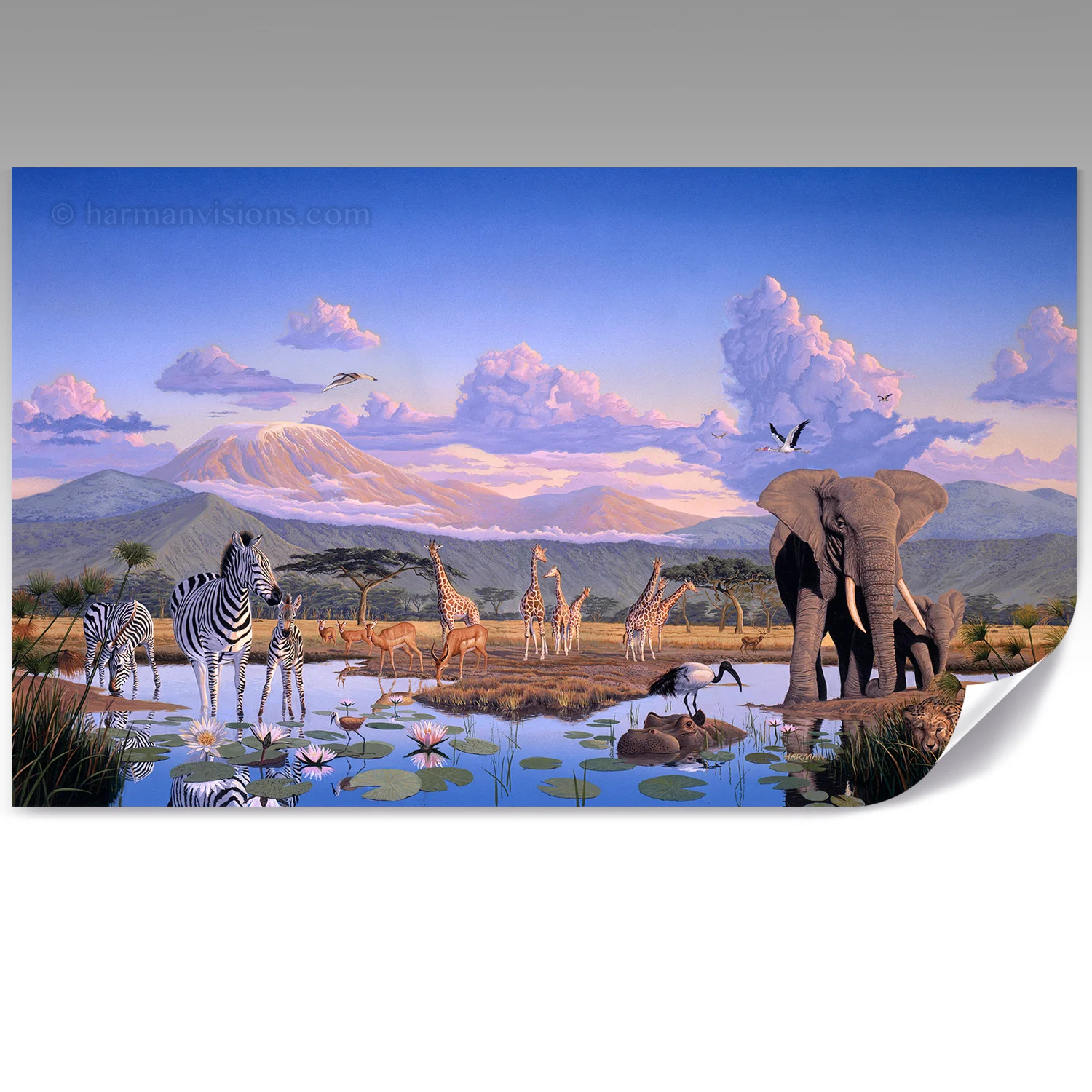 AFRICA WIDEVIEW fine paper print