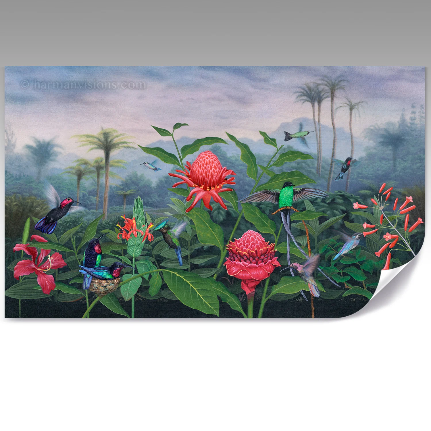 CARIBBEAN JEWELS fine paper print